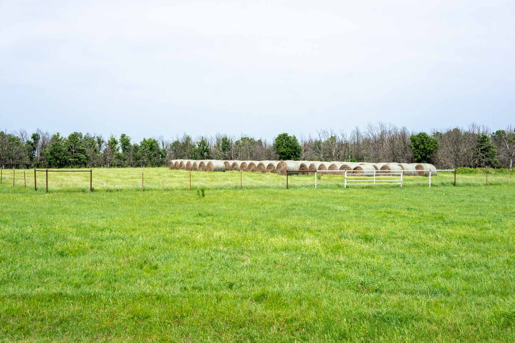 Five Star Legacy Ranch property picture 36 of 123