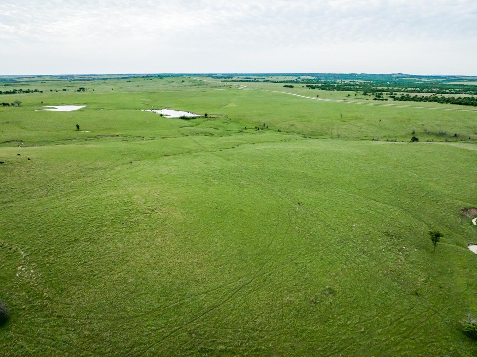Five Star Legacy Ranch property picture 96 of 123