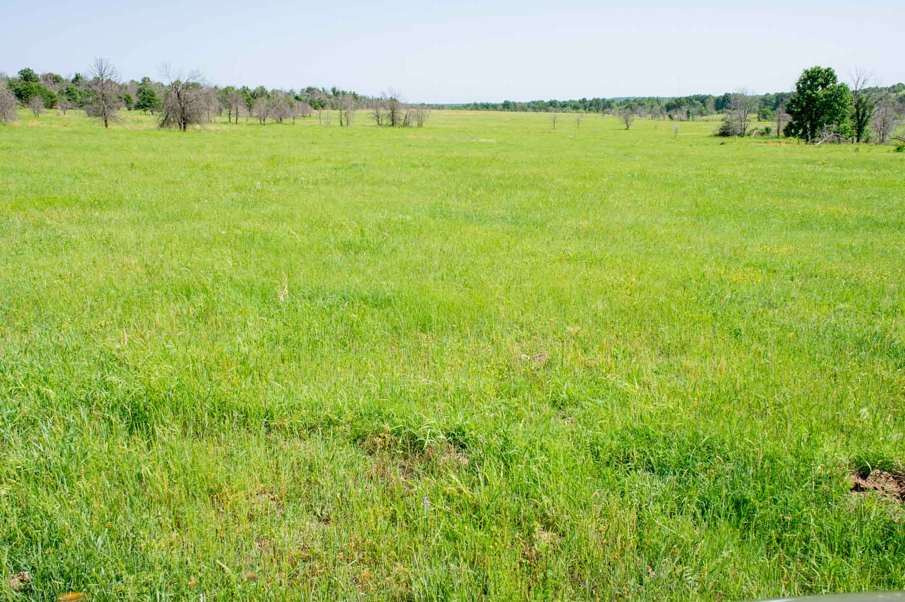 Five Star Legacy Ranch property picture 37 of 123