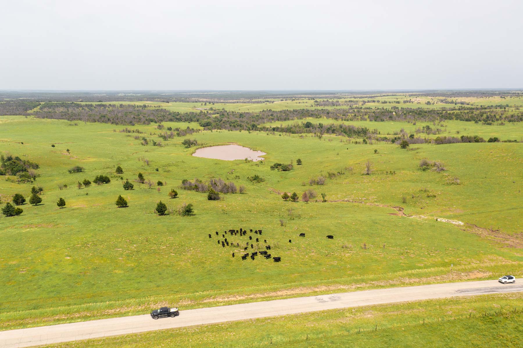 Five Star Legacy Ranch property picture 62 of 123