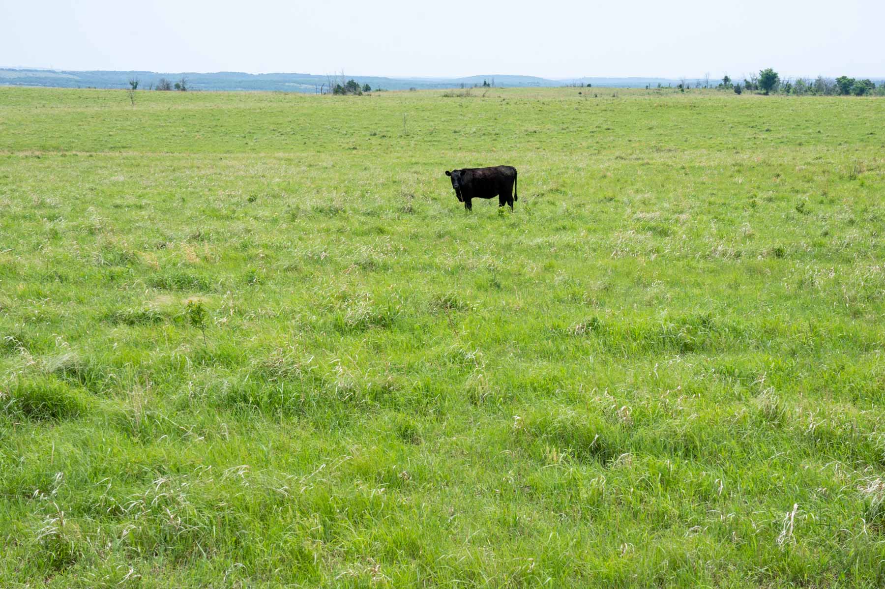 Five Star Legacy Ranch property picture 20 of 123