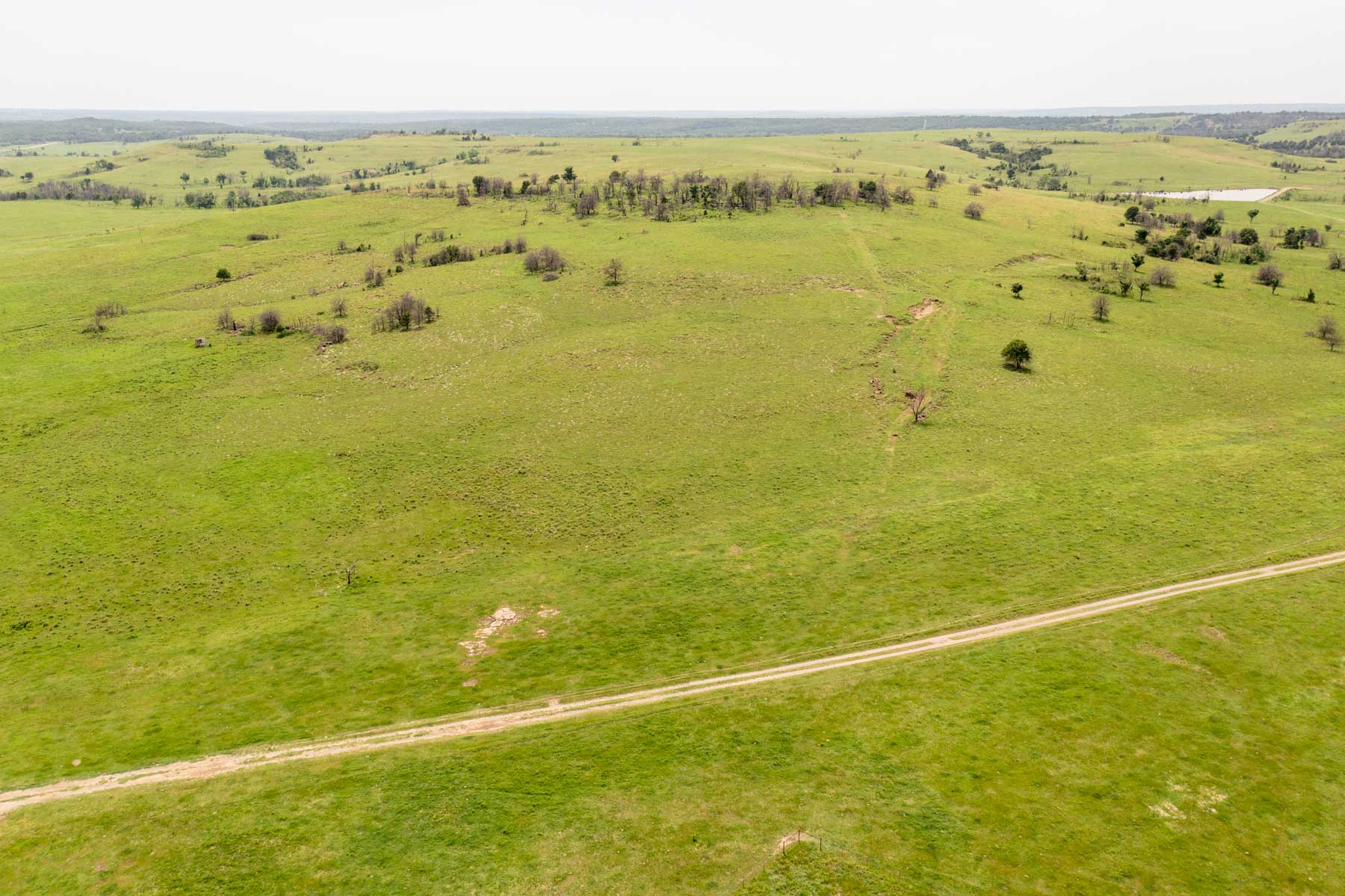 Five Star Legacy Ranch property picture 54 of 123