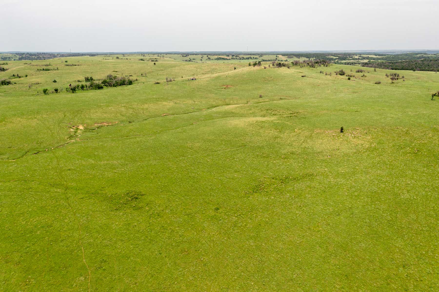 Five Star Legacy Ranch property picture 50 of 123