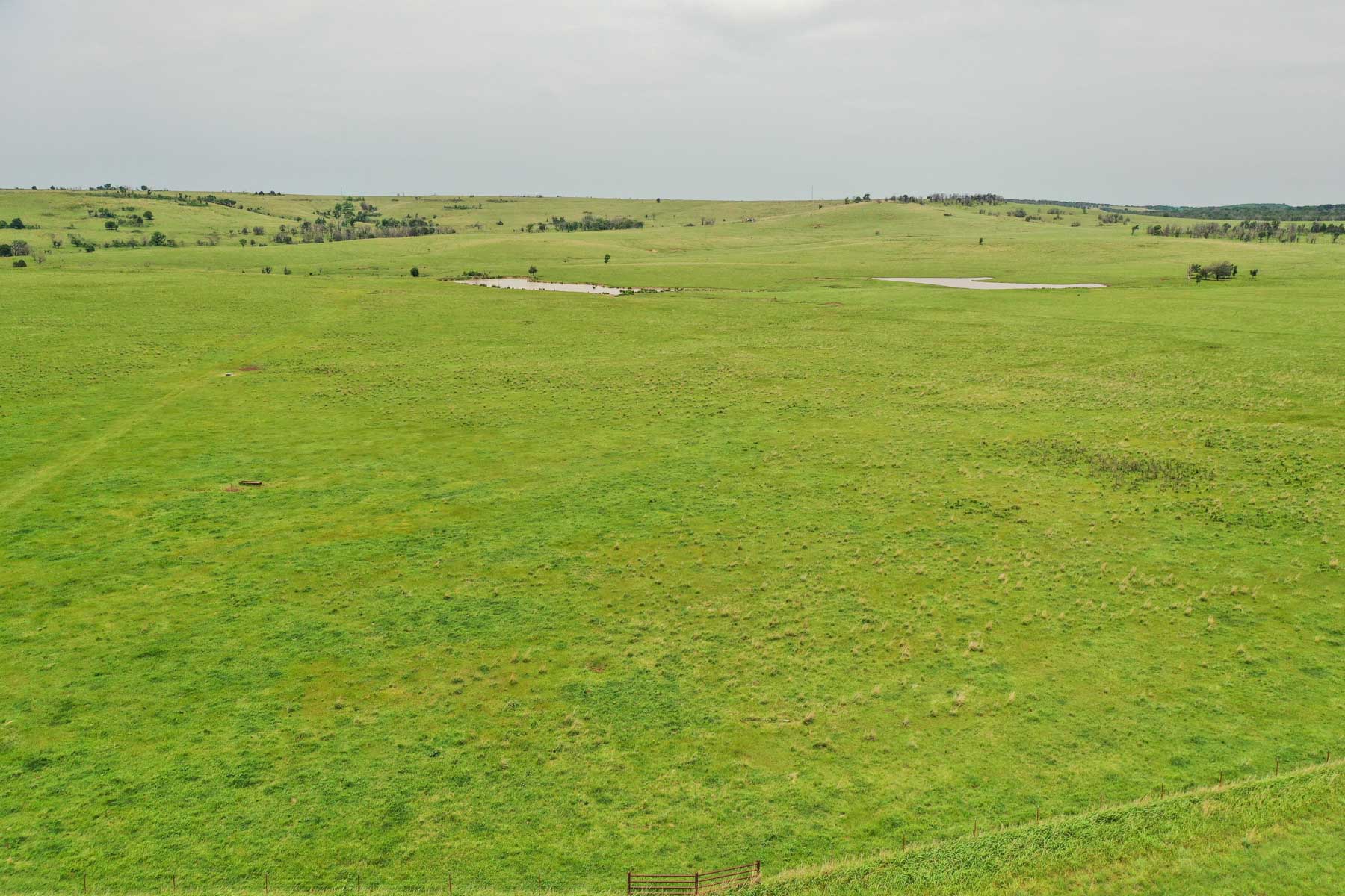 Five Star Legacy Ranch property picture 41 of 123