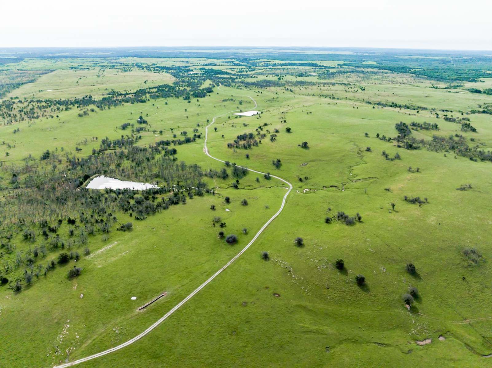 Five Star Legacy Ranch property picture 13 of 123