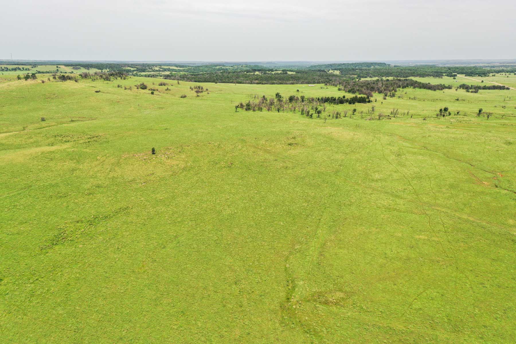 Five Star Legacy Ranch property picture 49 of 123