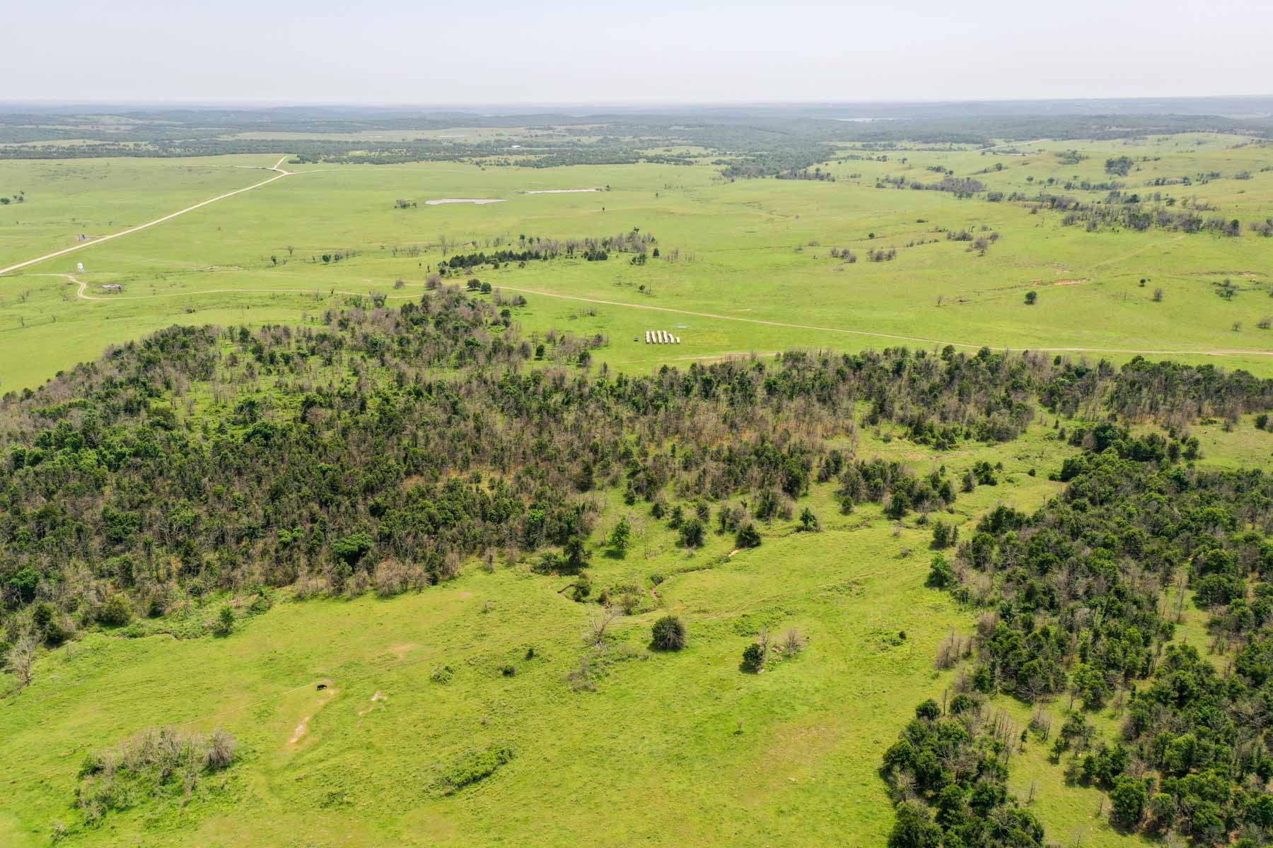 Five Star Legacy Ranch property picture 59 of 123