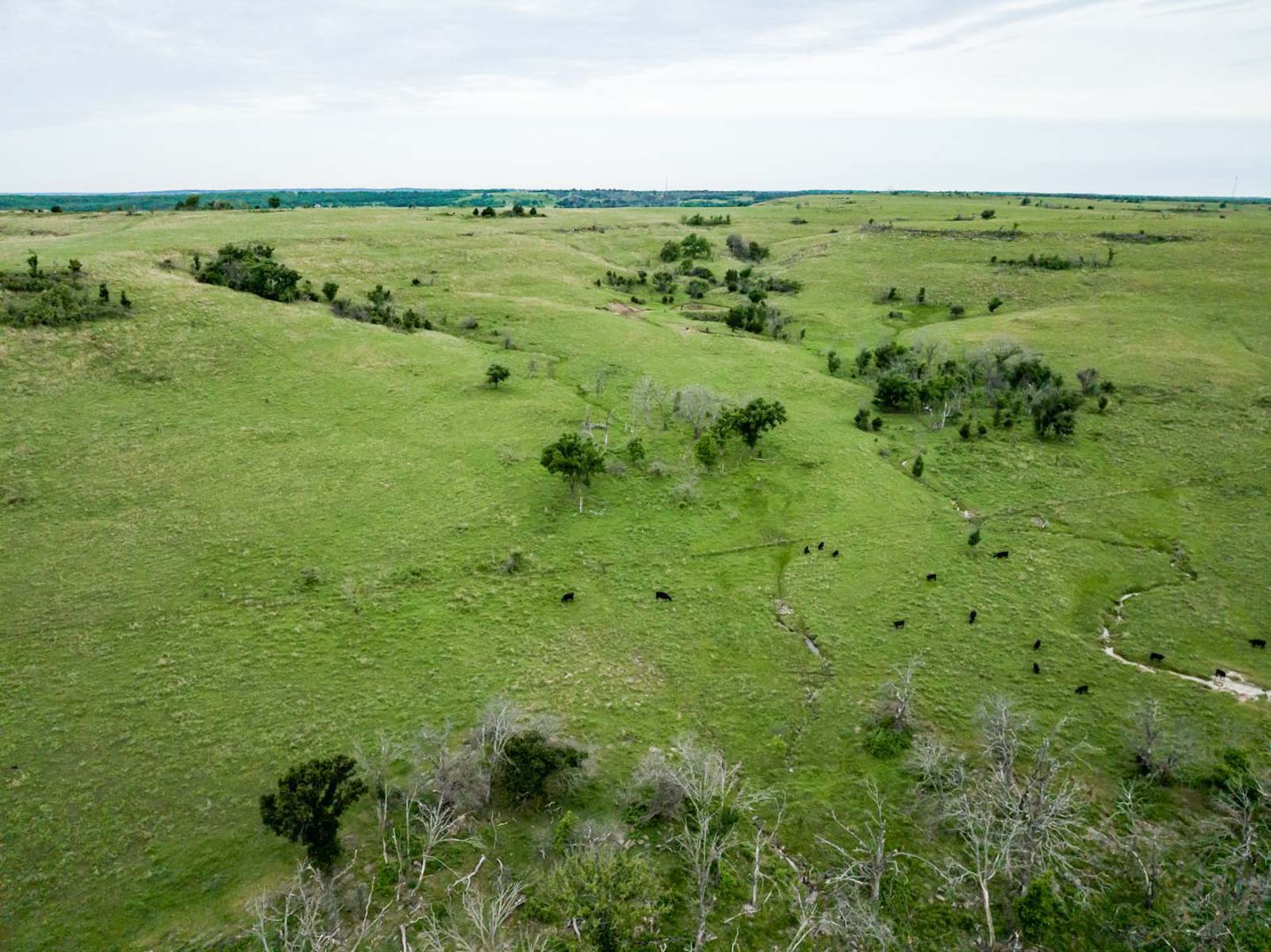 Five Star Legacy Ranch property picture 95 of 123