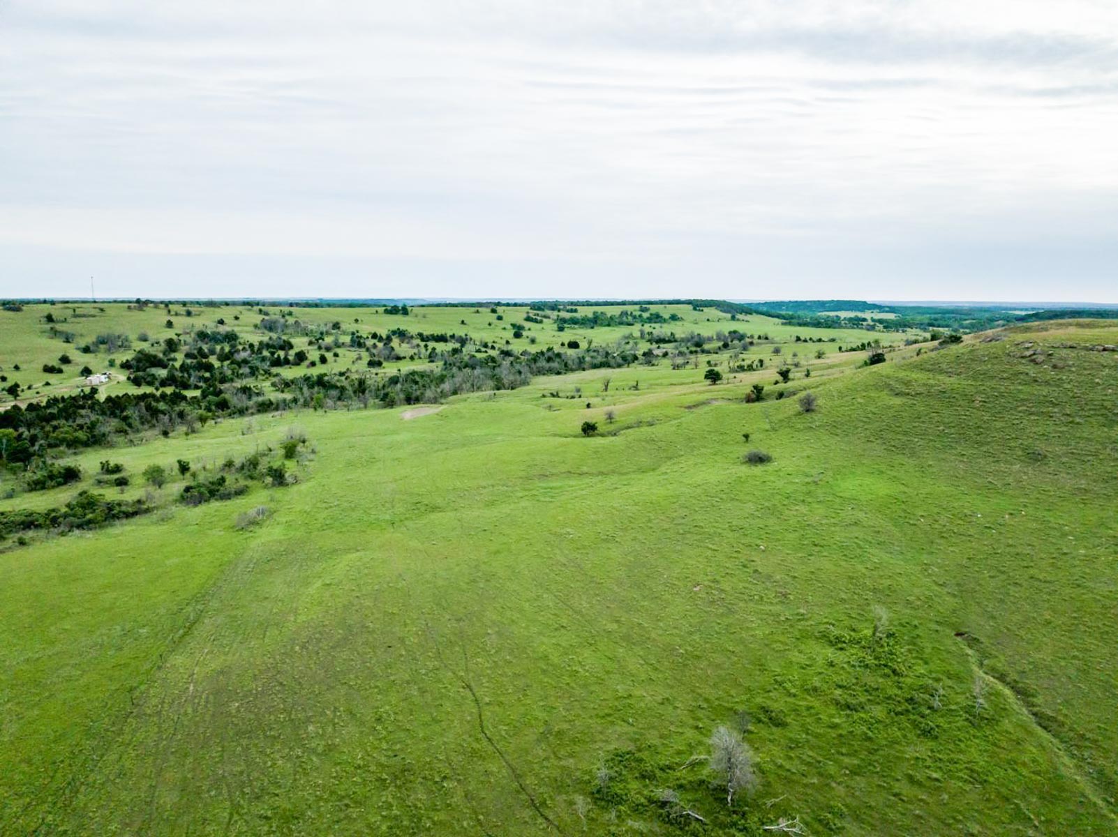 Five Star Legacy Ranch property picture 88 of 123