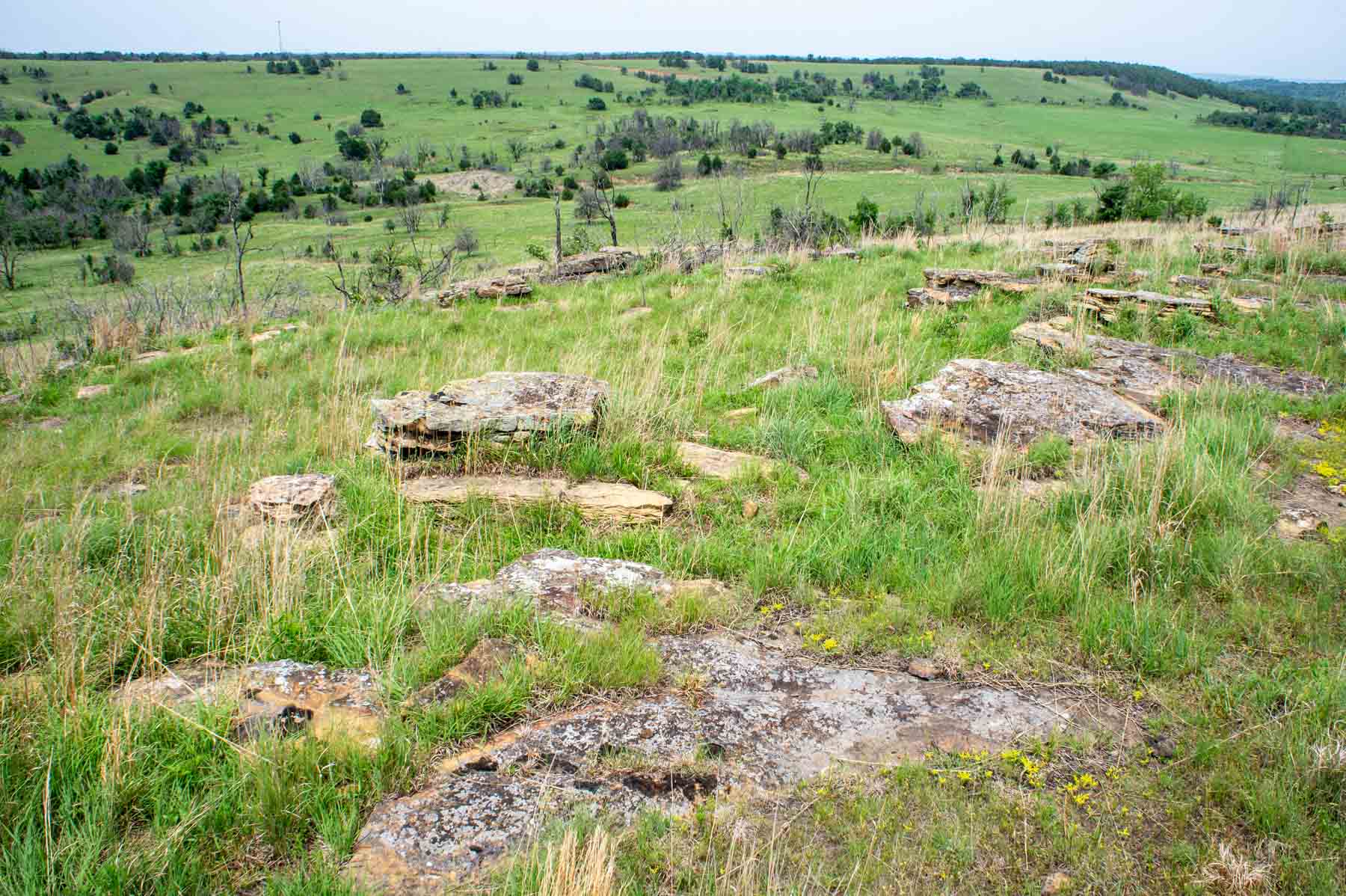 Five Star Legacy Ranch property picture 31 of 123