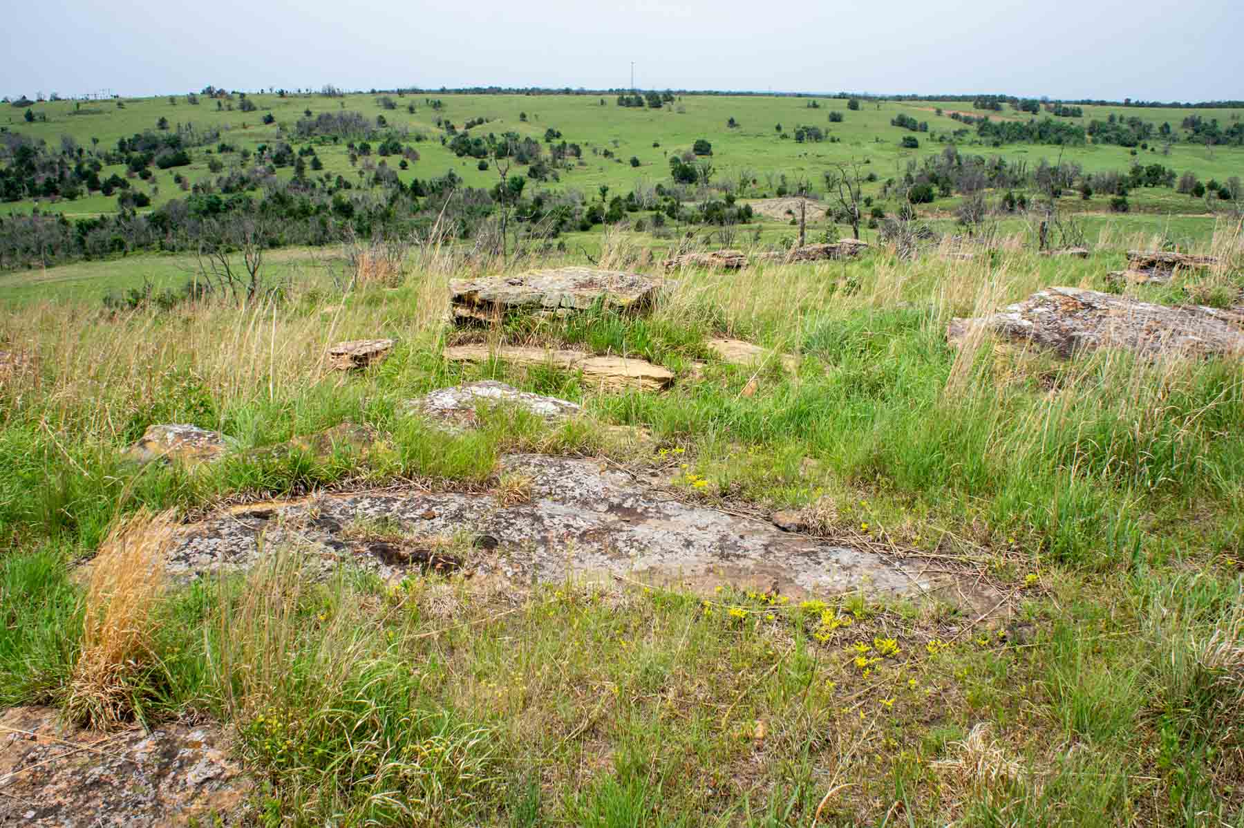 Five Star Legacy Ranch property picture 30 of 123