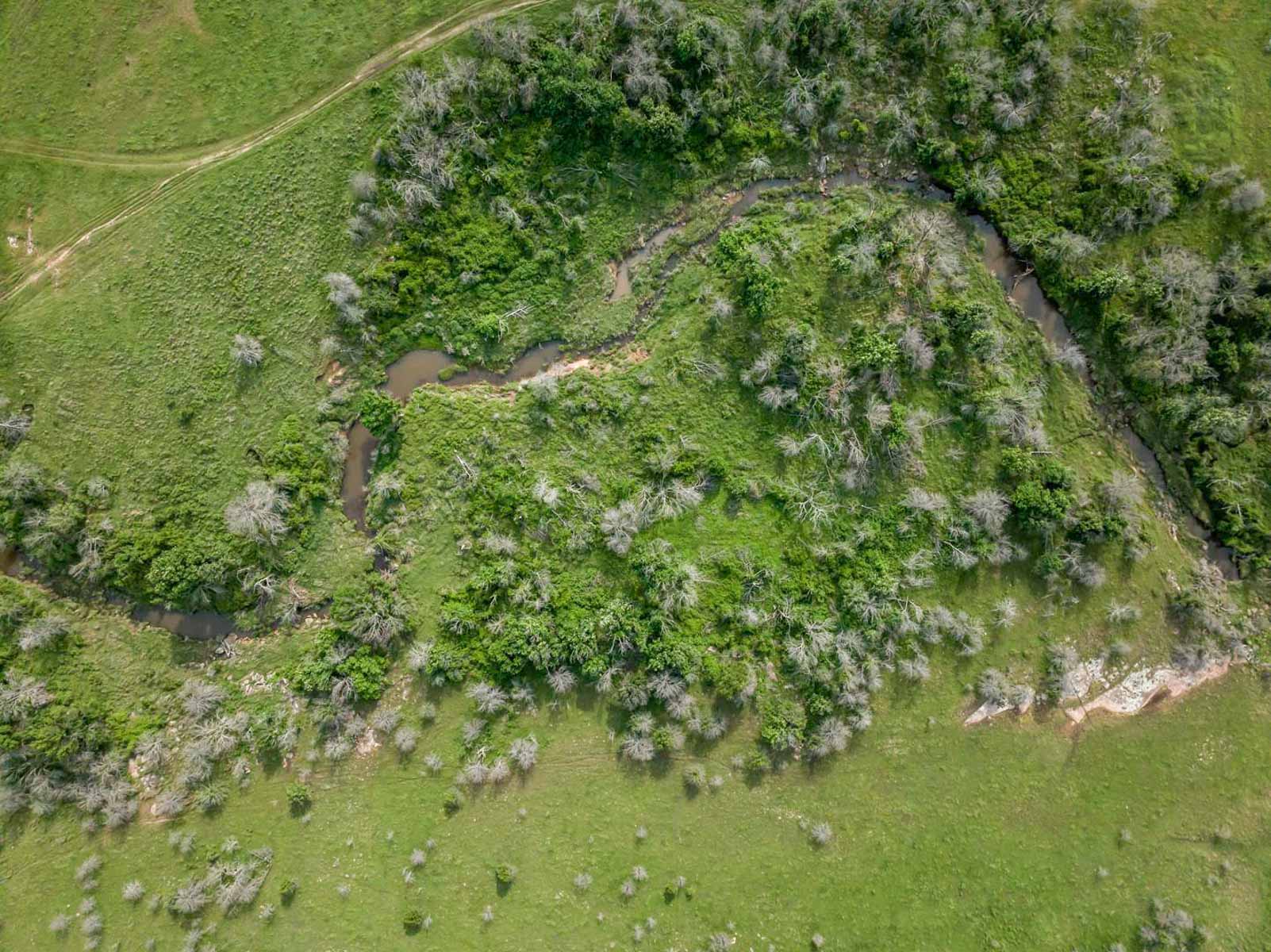 Five Star Legacy Ranch property picture 80 of 123