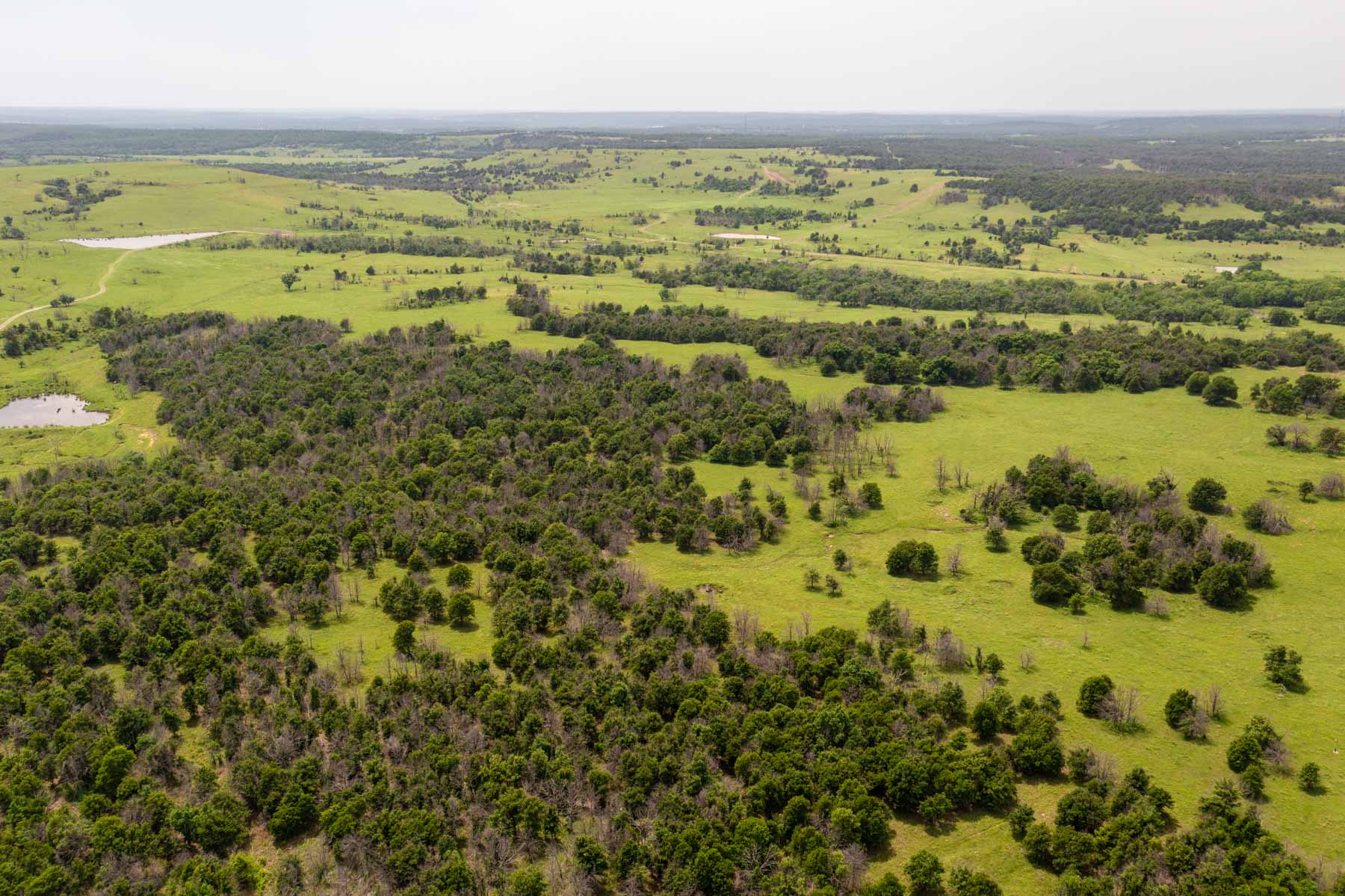 Five Star Legacy Ranch property picture 23 of 123
