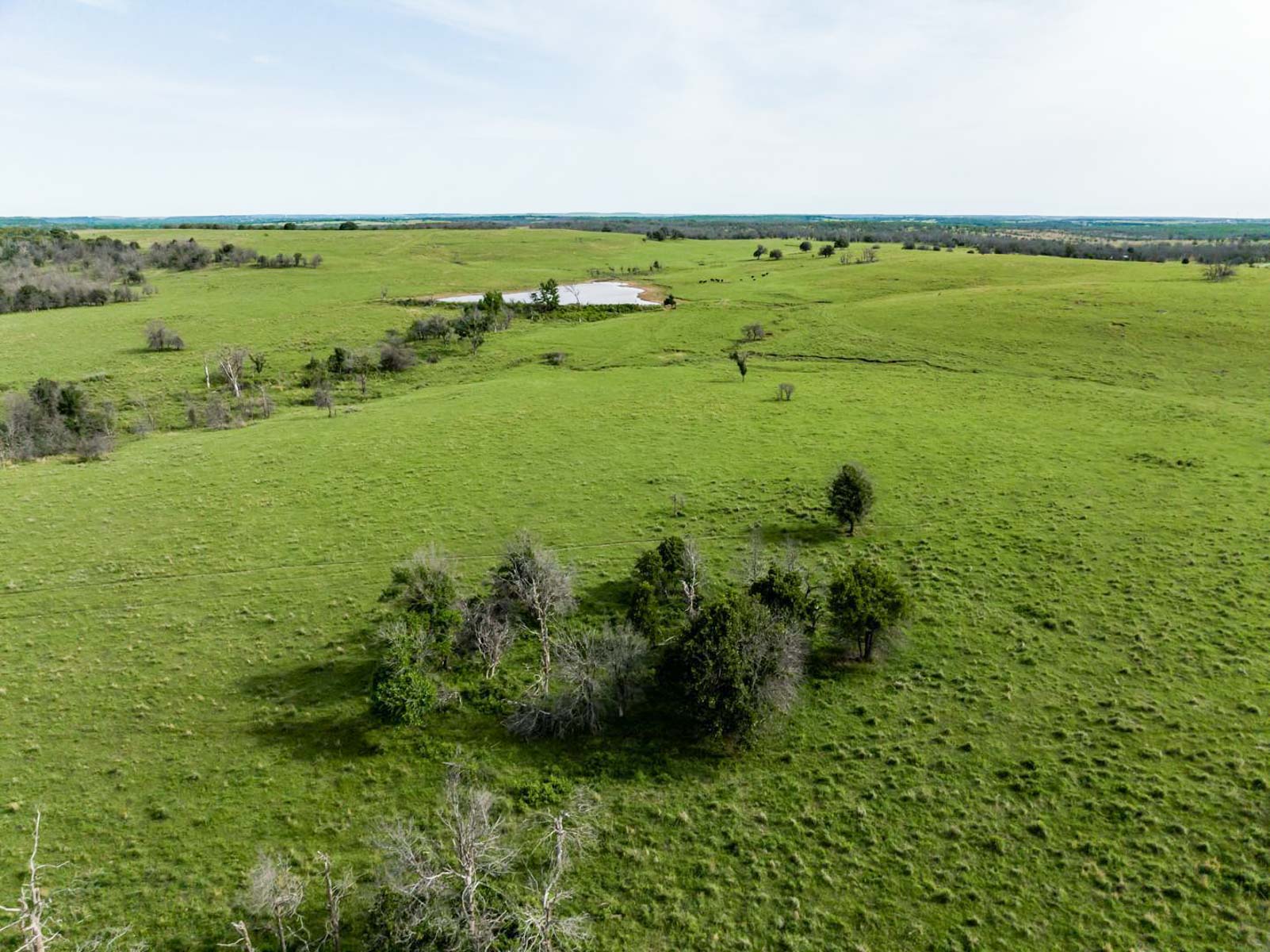 Five Star Legacy Ranch property picture 118 of 123