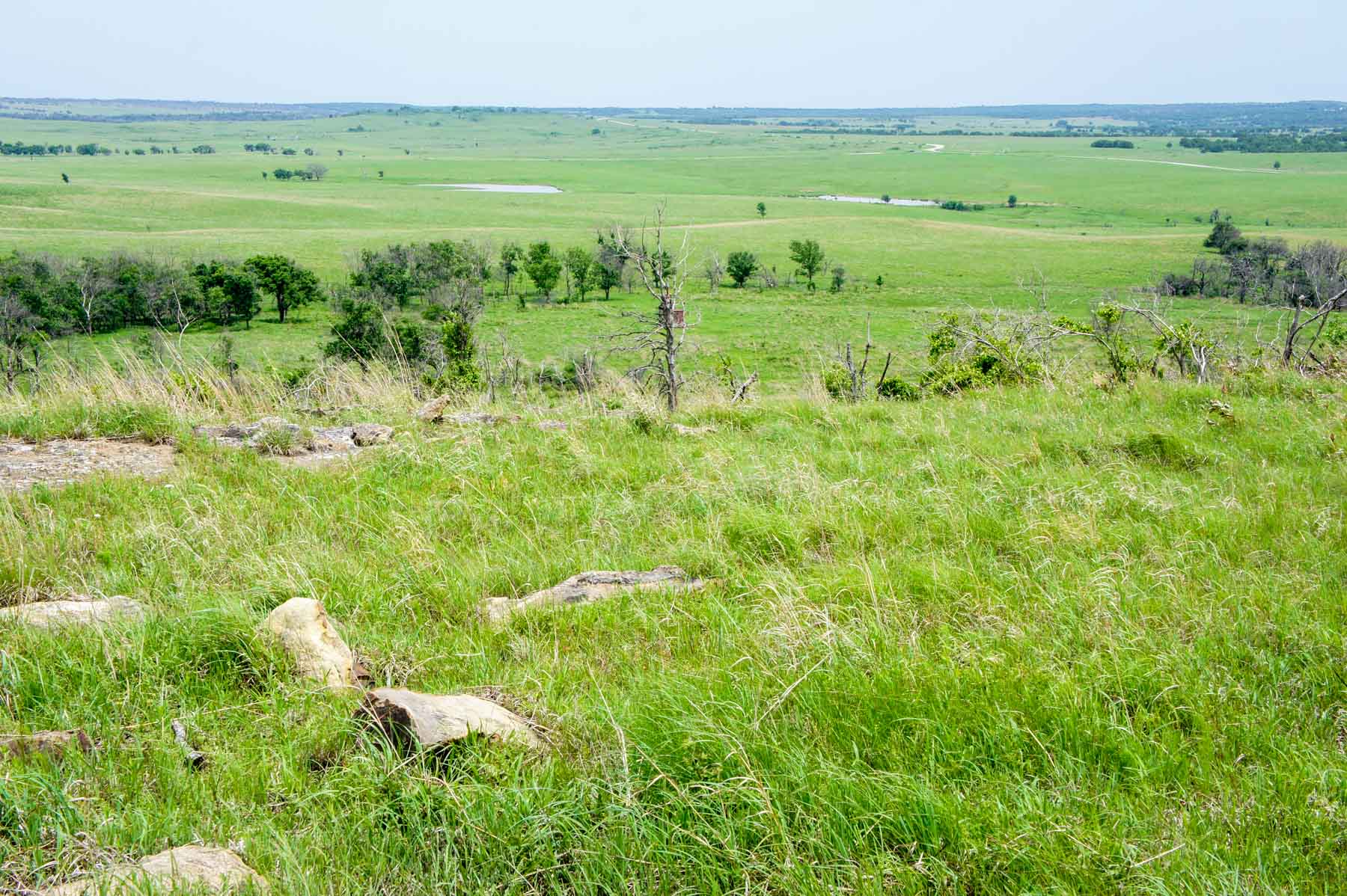 Five Star Legacy Ranch property picture 35 of 123