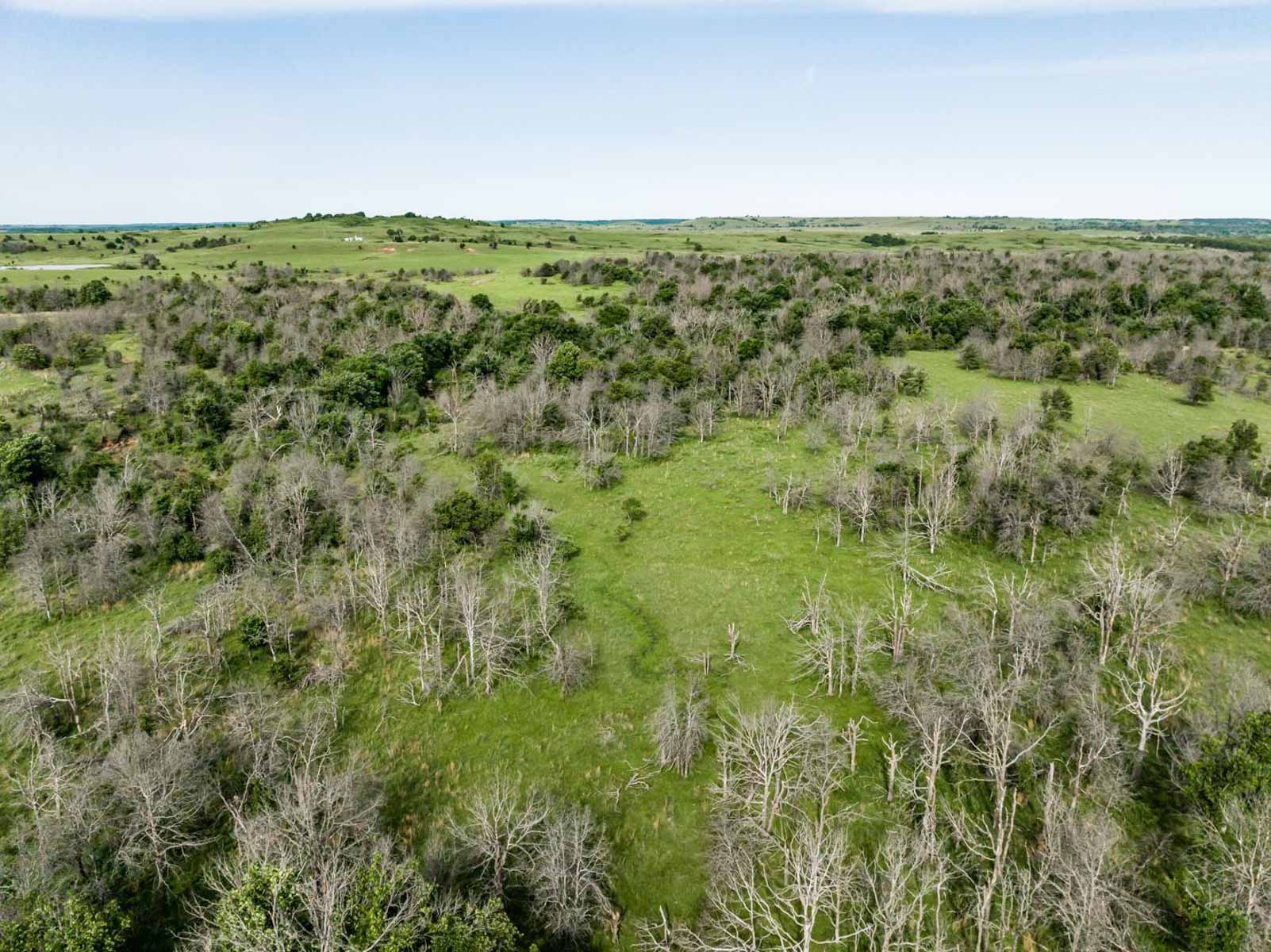 Five Star Legacy Ranch property picture 119 of 123