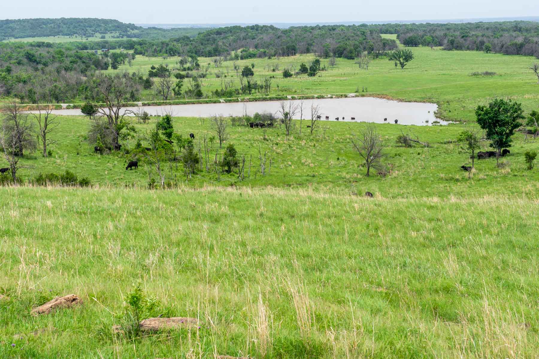 Five Star Legacy Ranch property picture 16 of 123