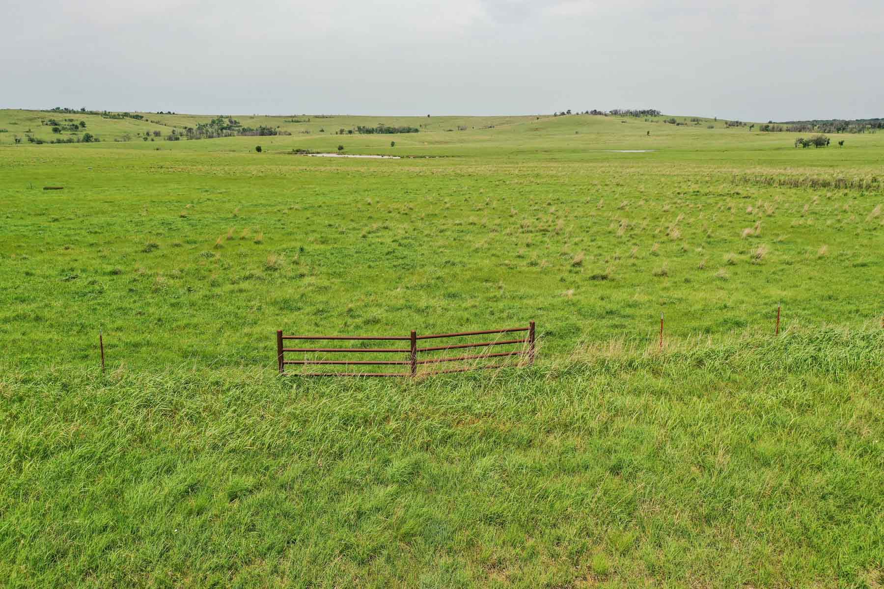 Five Star Legacy Ranch property picture 47 of 123