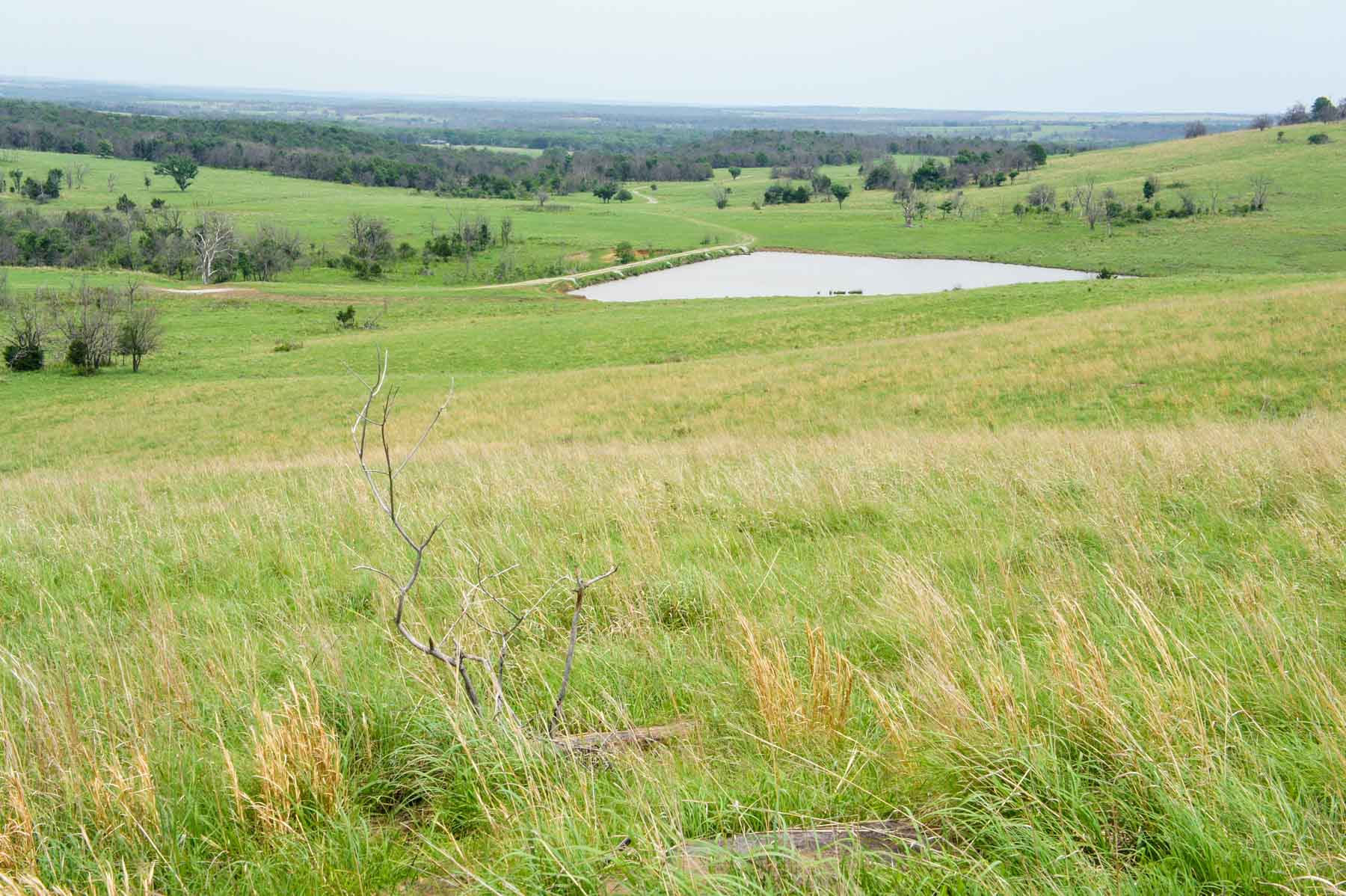 Five Star Legacy Ranch property picture 22 of 123