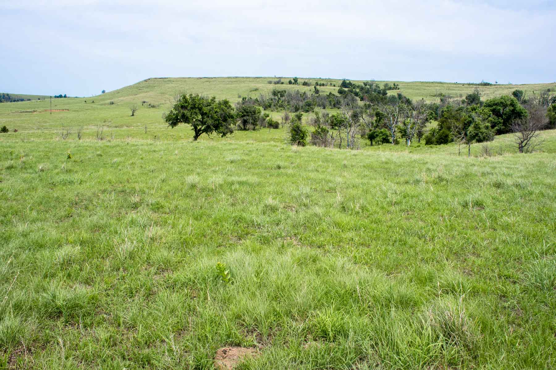 Five Star Legacy Ranch property picture 29 of 123