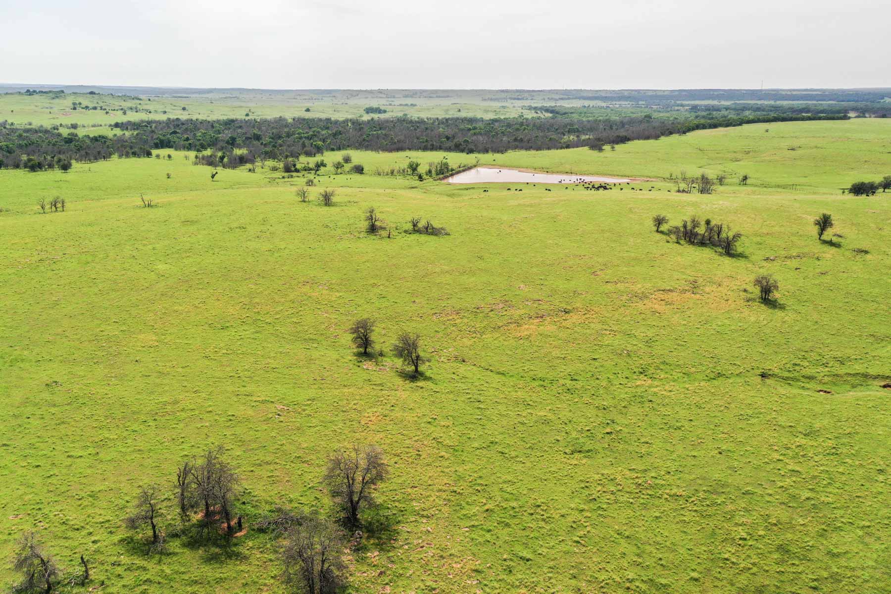 Five Star Legacy Ranch property picture 67 of 123
