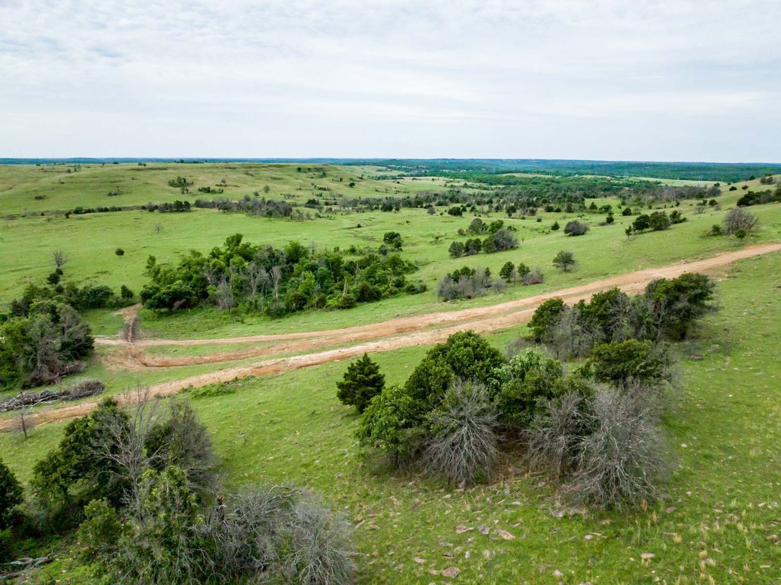 Five Star Legacy Ranch property picture 83 of 123