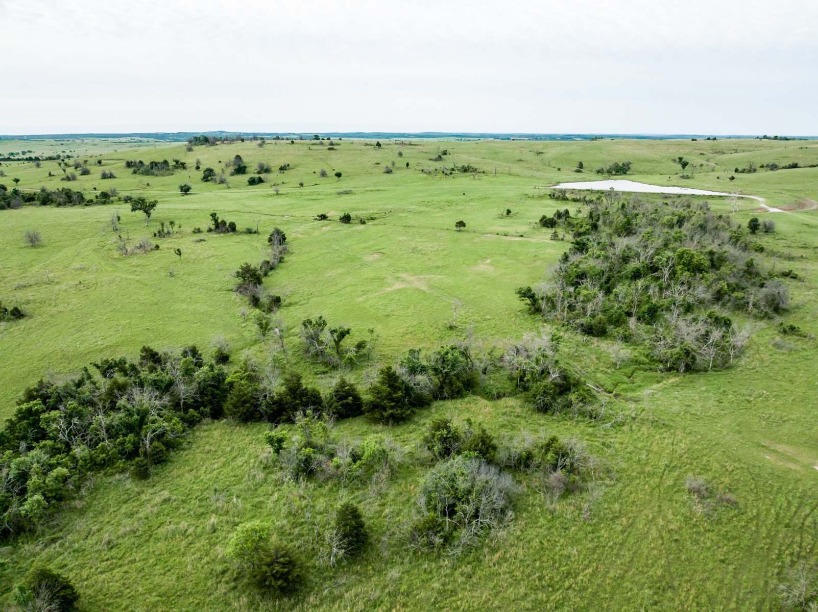 Five Star Legacy Ranch property picture 109 of 123