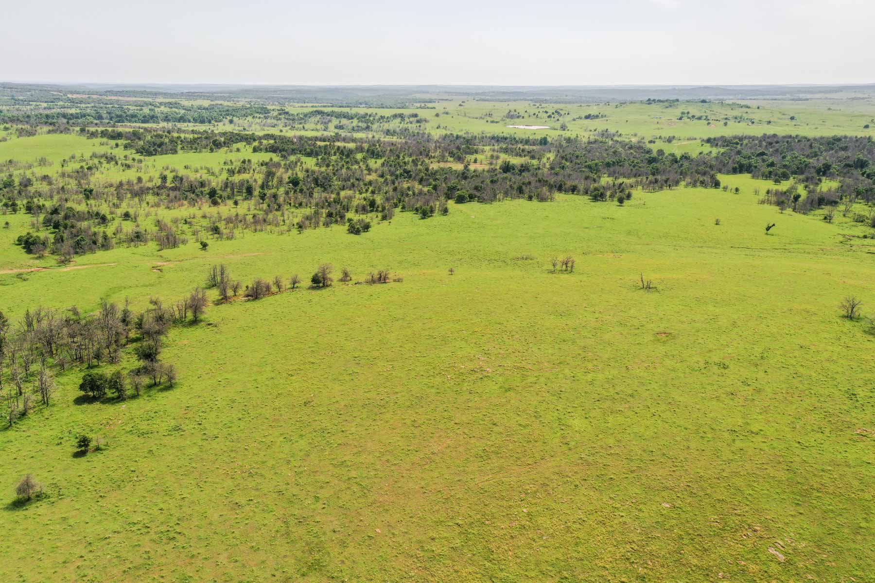 Five Star Legacy Ranch property picture 68 of 123