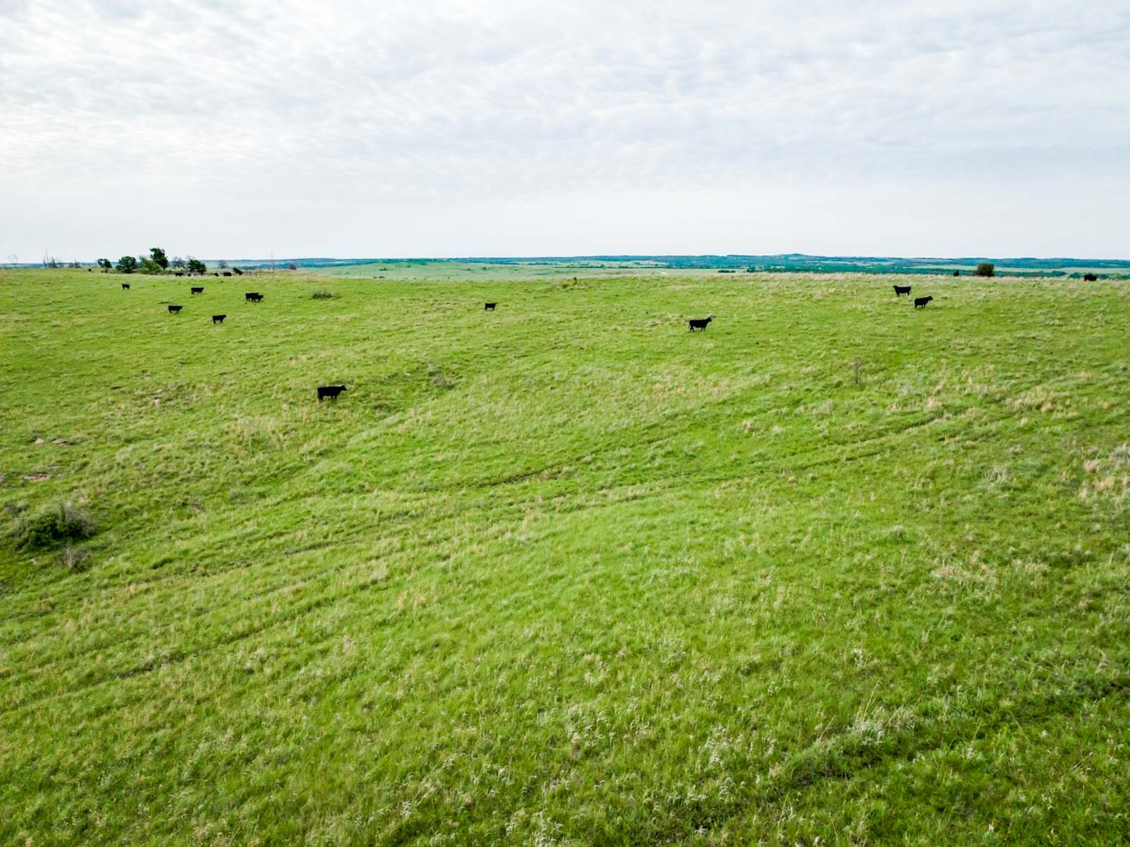 Five Star Legacy Ranch property picture 98 of 123