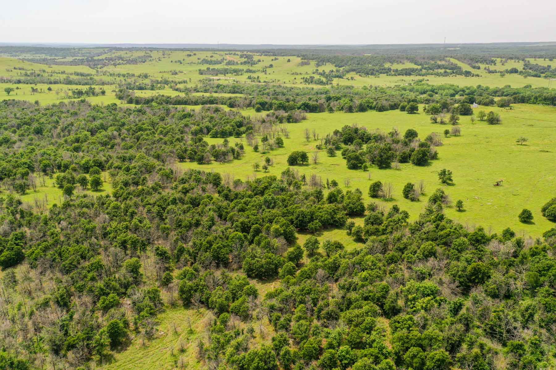 Five Star Legacy Ranch property picture 15 of 123