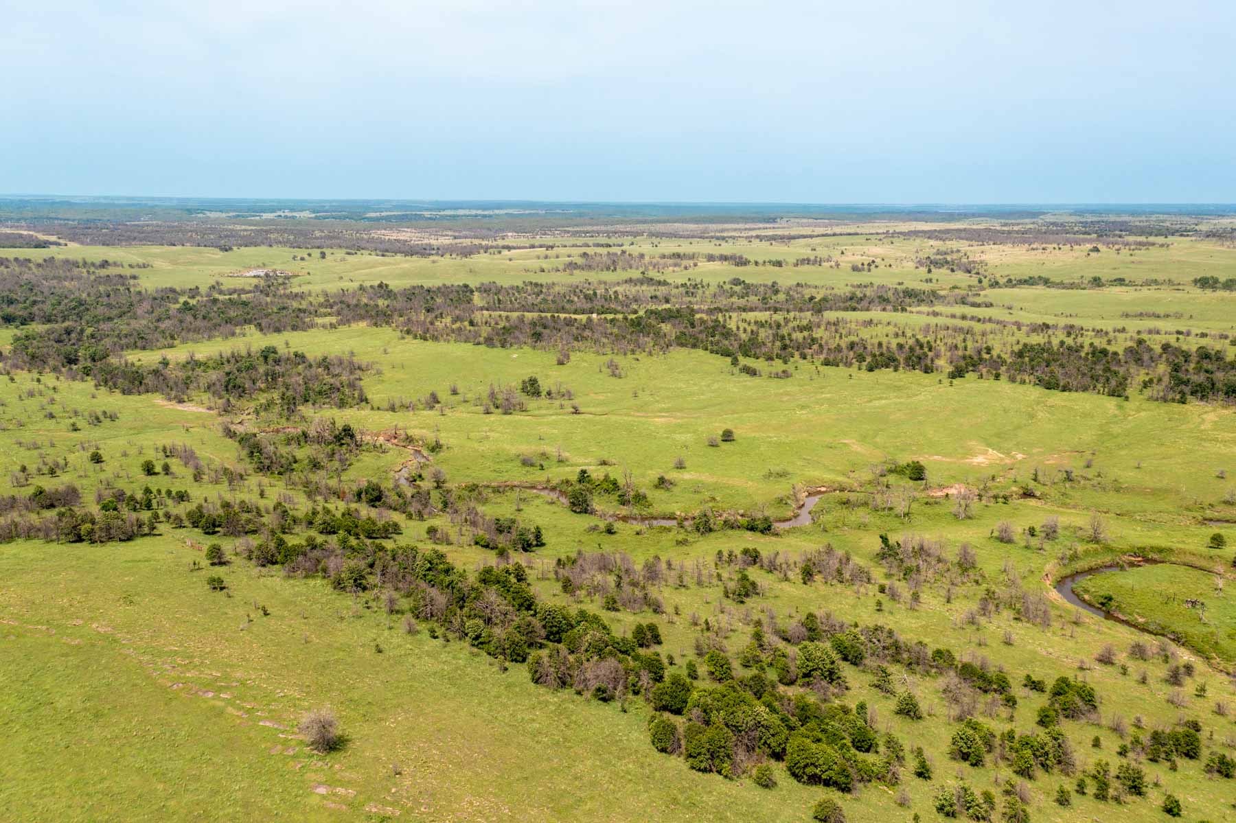 Five Star Legacy Ranch property picture 66 of 123