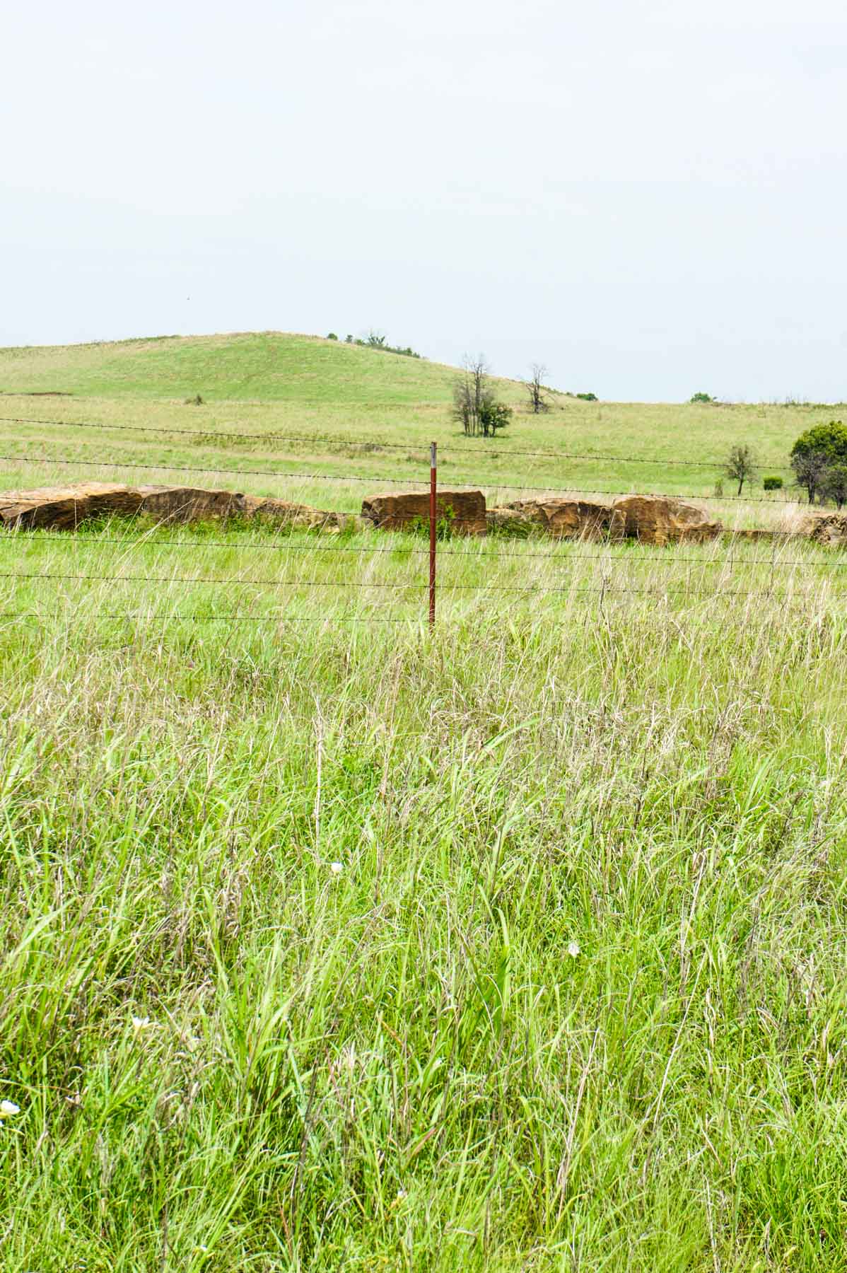 Five Star Legacy Ranch property picture 28 of 123