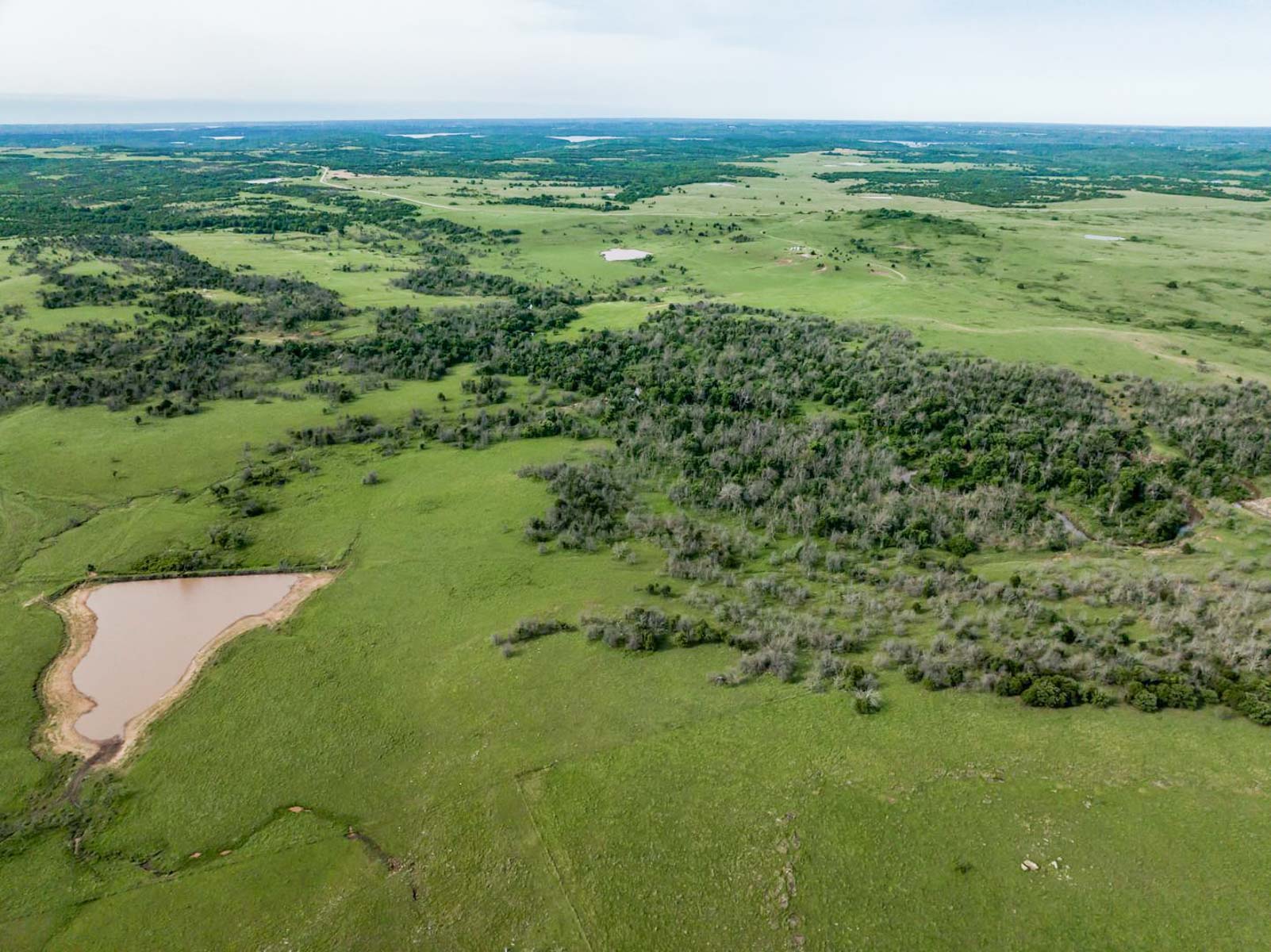 Five Star Legacy Ranch property picture 74 of 123