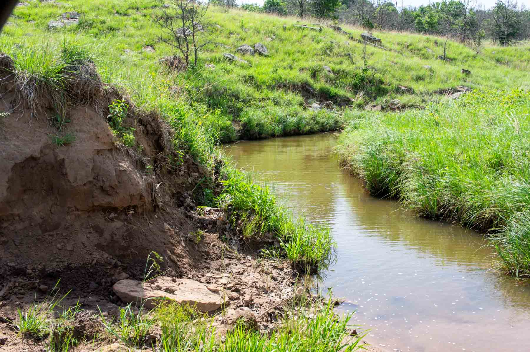 Five Star Legacy Ranch property picture 21 of 123