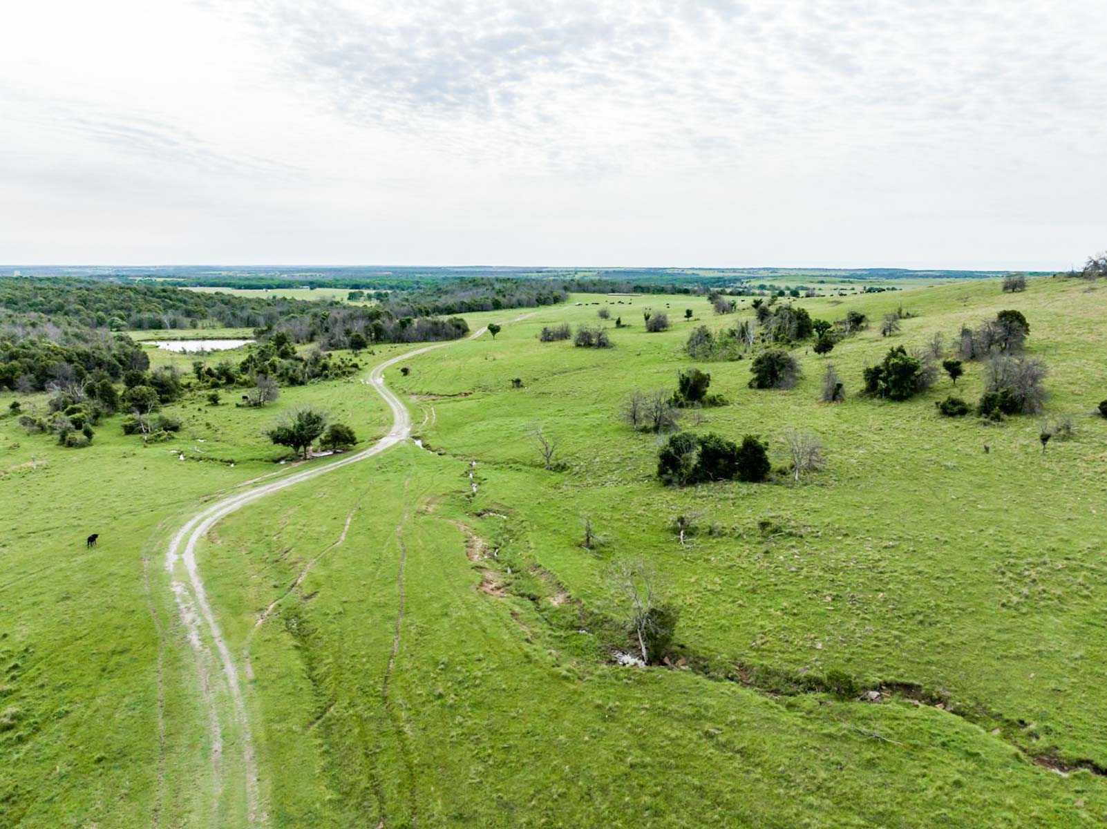 Five Star Legacy Ranch property picture 107 of 123