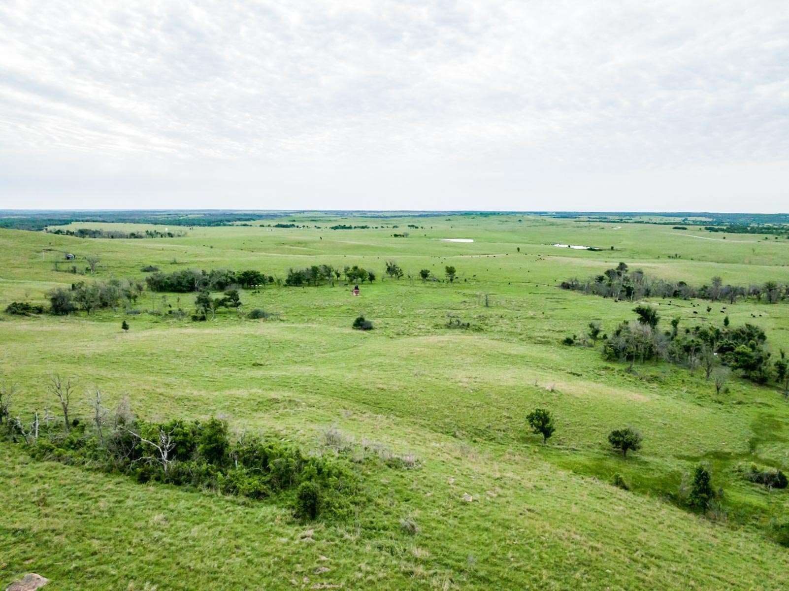 Five Star Legacy Ranch property picture 94 of 123