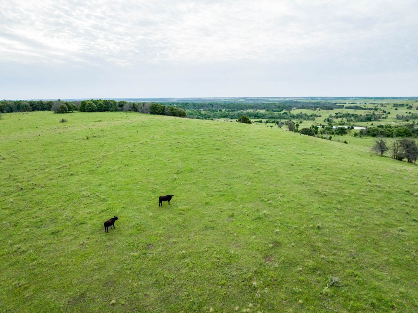 Five Star Legacy Ranch property picture 82 of 123