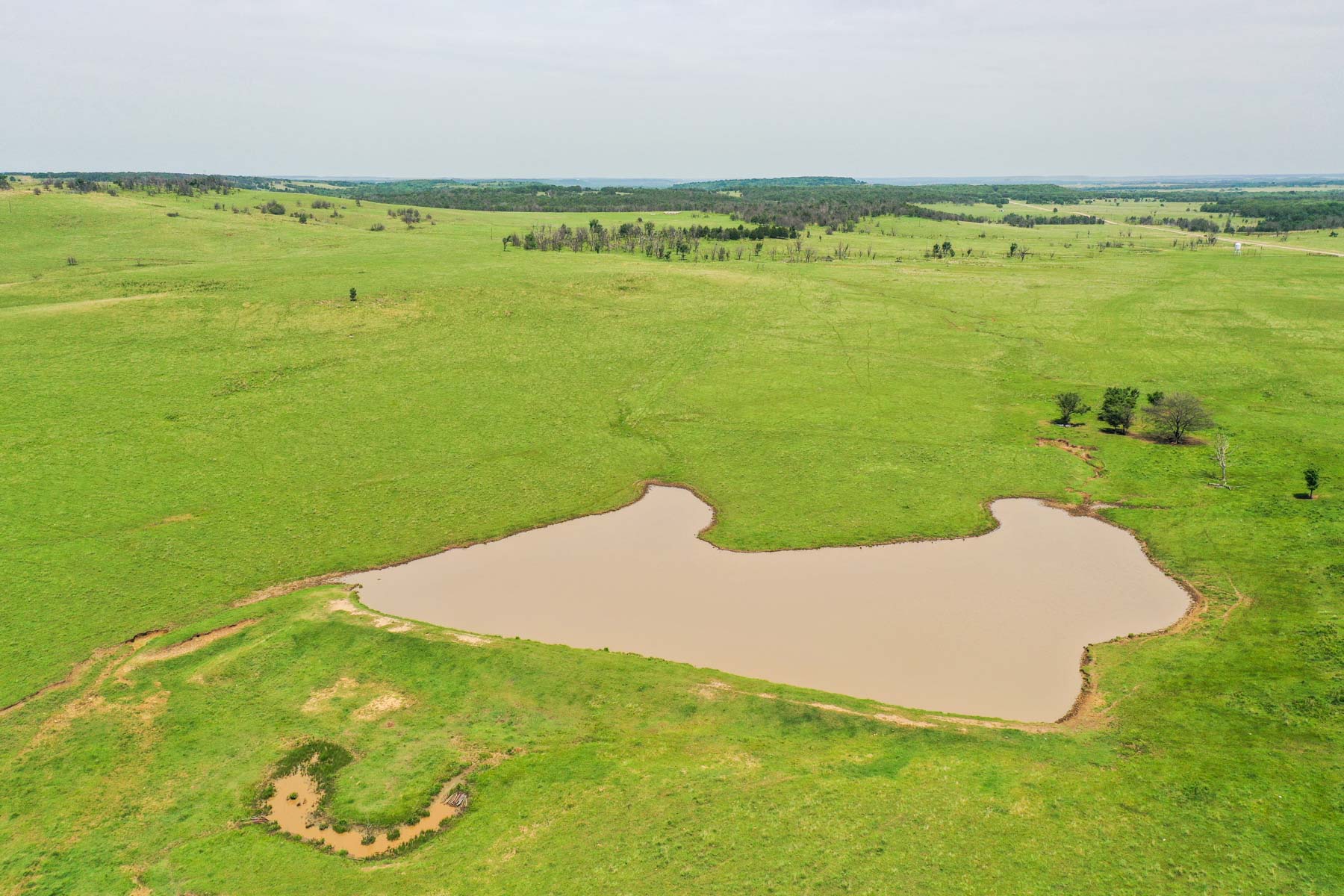 Five Star Legacy Ranch property picture 48 of 123