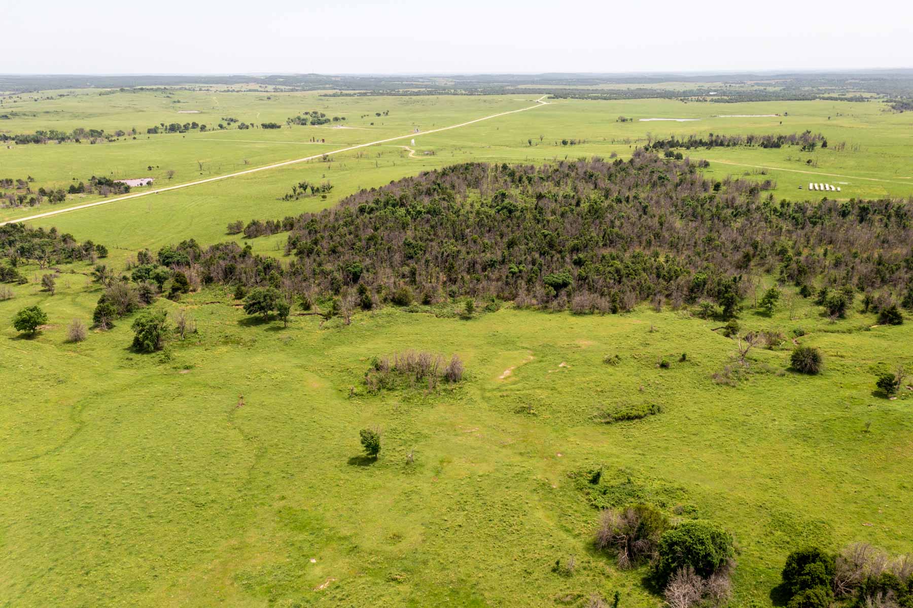 Five Star Legacy Ranch property picture 57 of 123