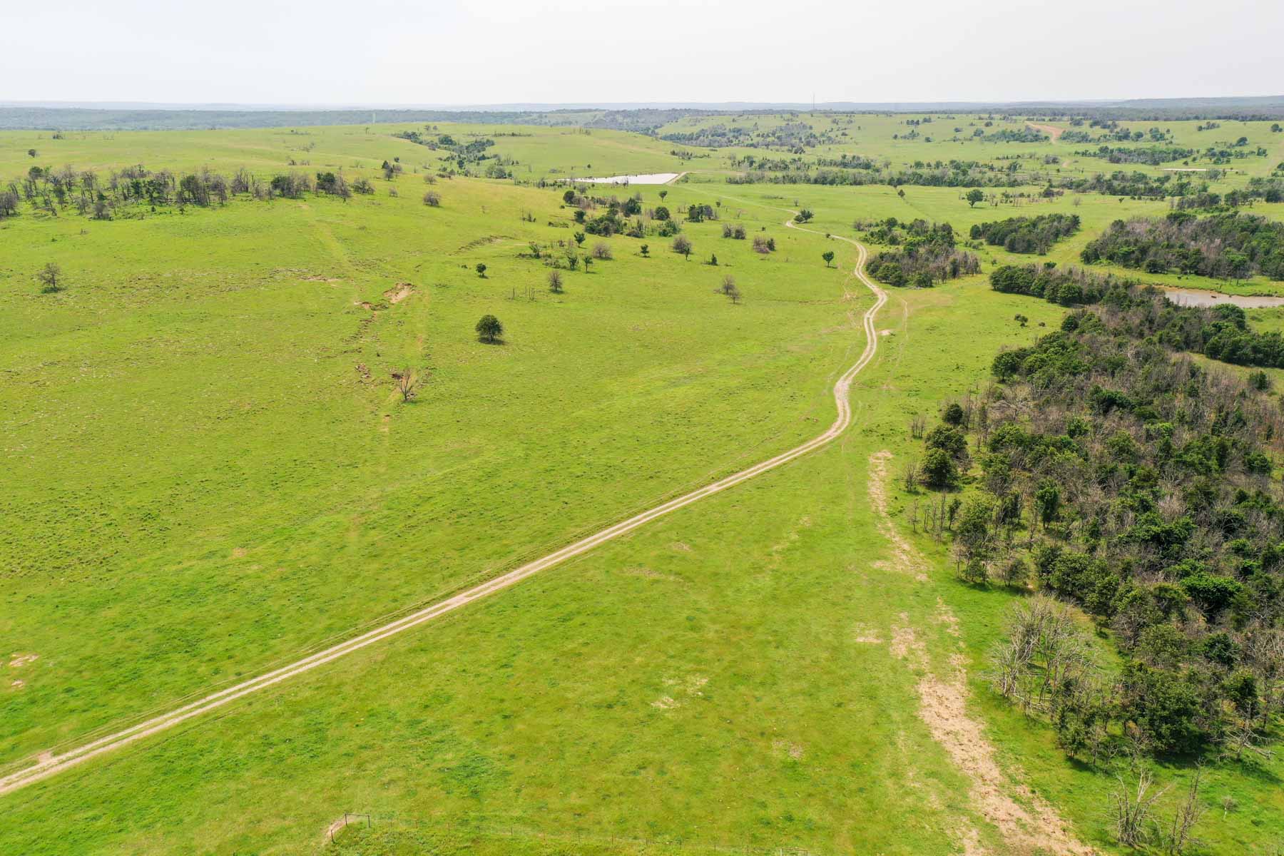 Five Star Legacy Ranch property picture 53 of 123