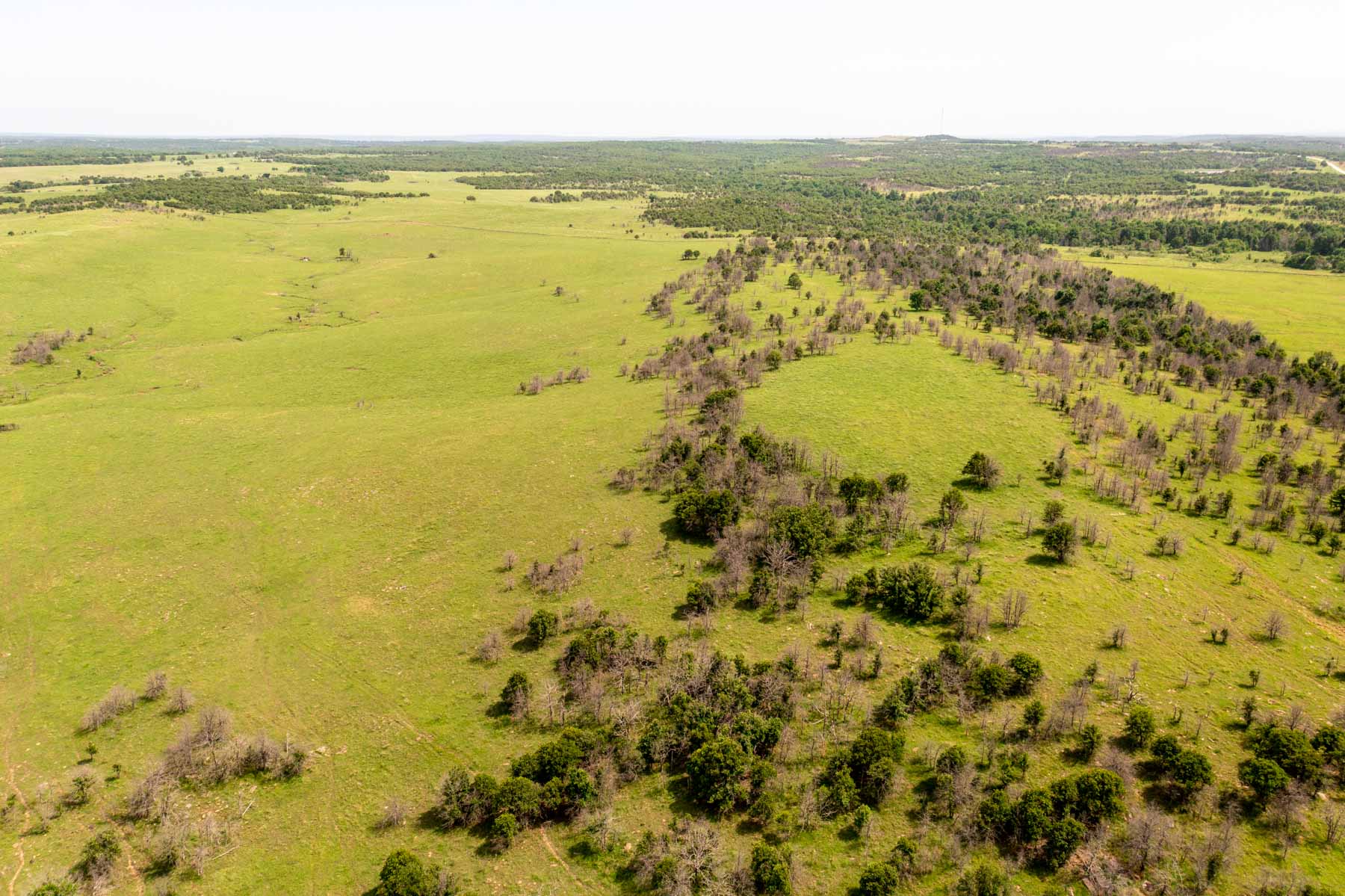 Five Star Legacy Ranch property picture 72 of 123