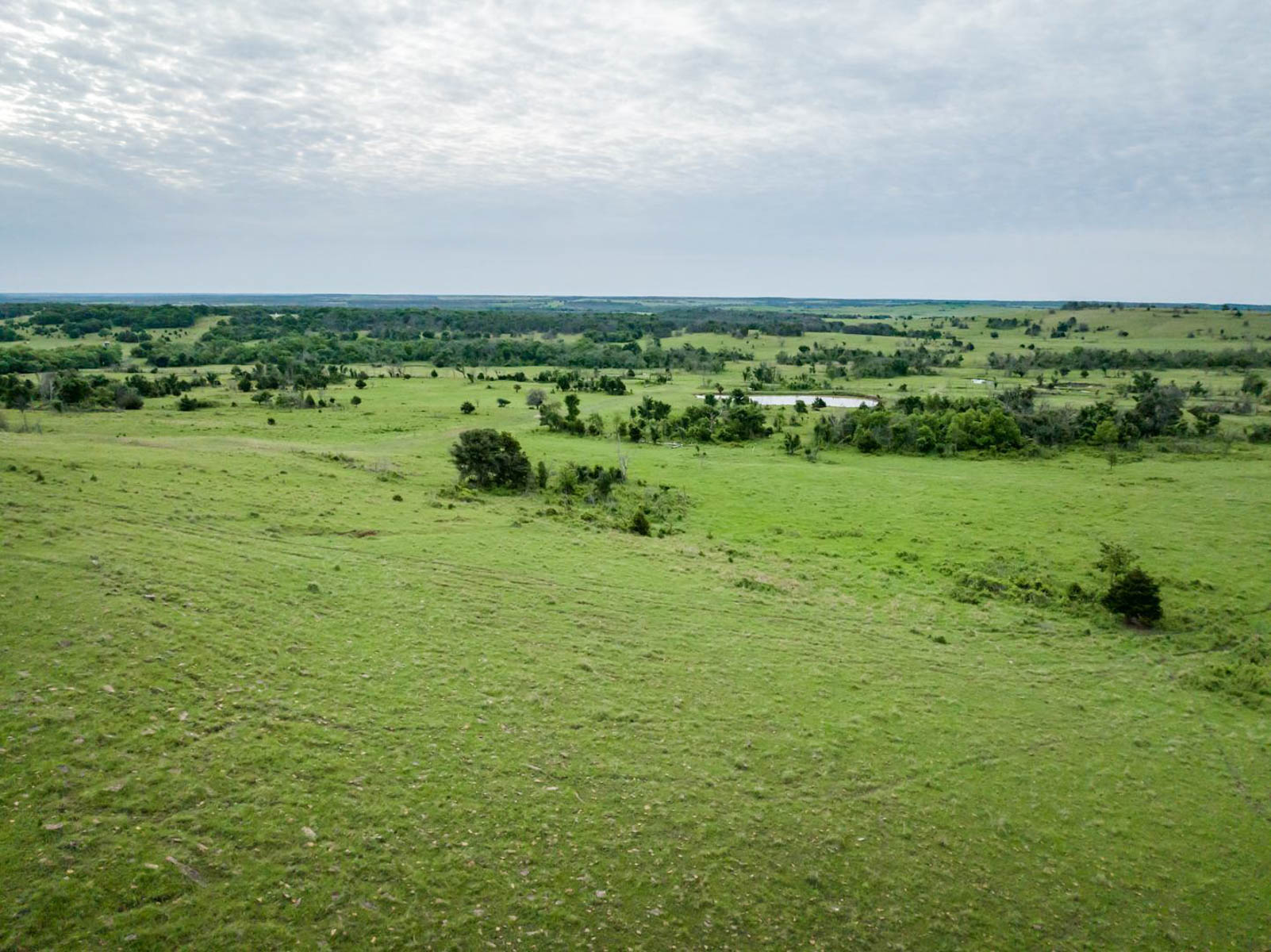 Five Star Legacy Ranch property picture 81 of 123