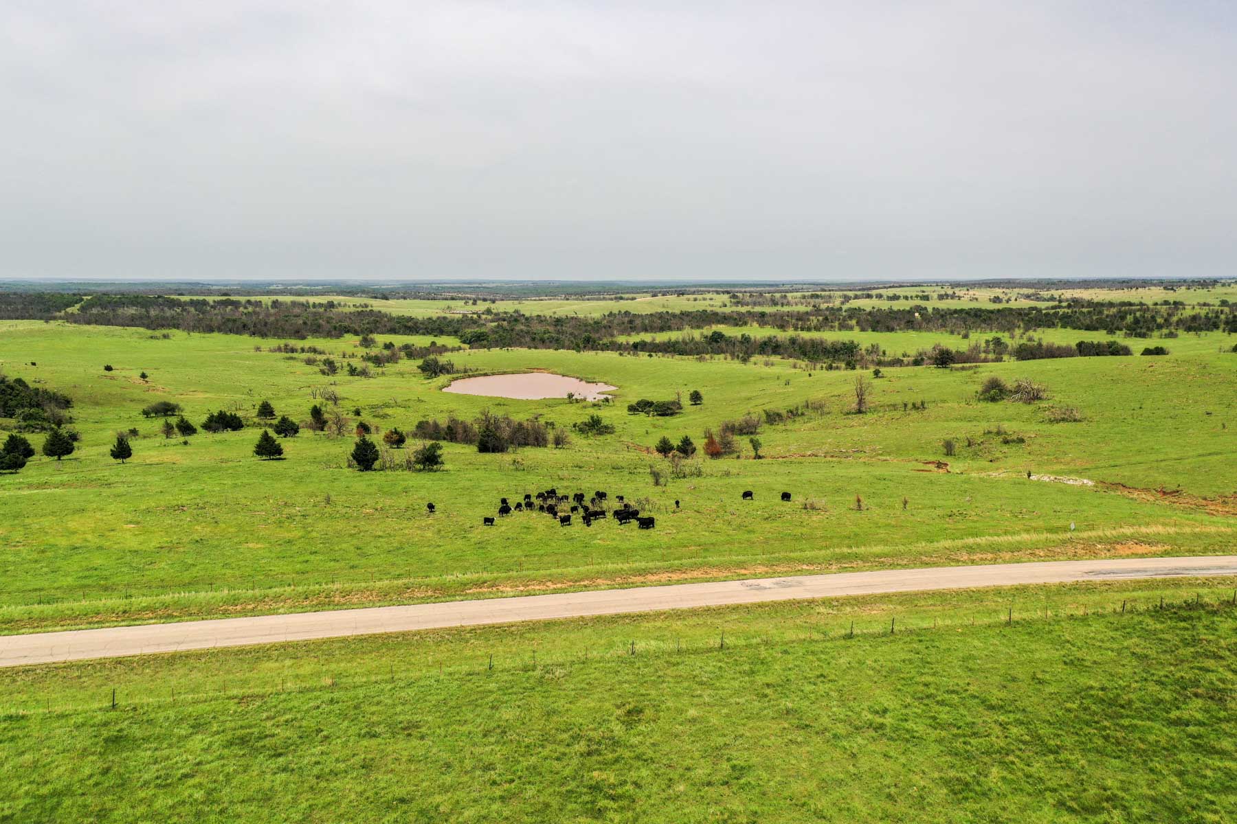 Five Star Legacy Ranch property picture 61 of 123