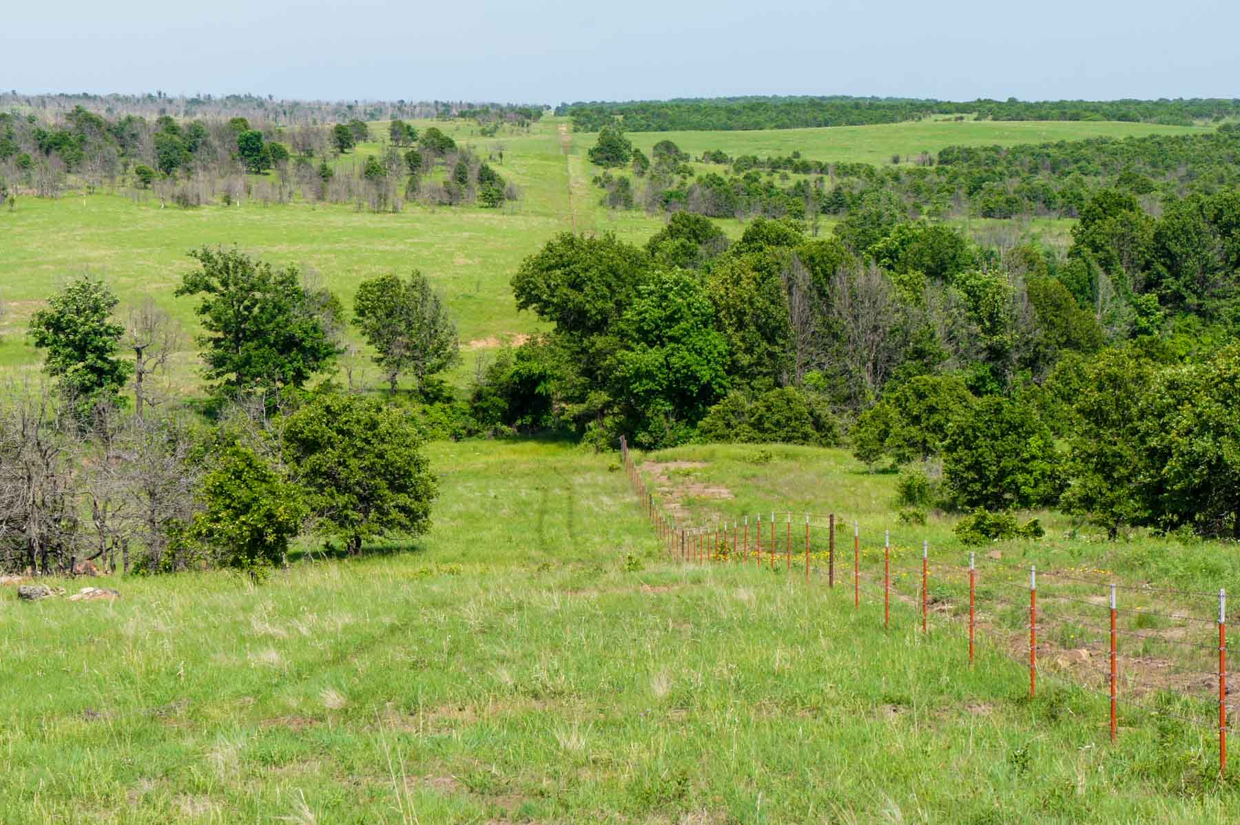 Five Star Legacy Ranch property picture 38 of 123