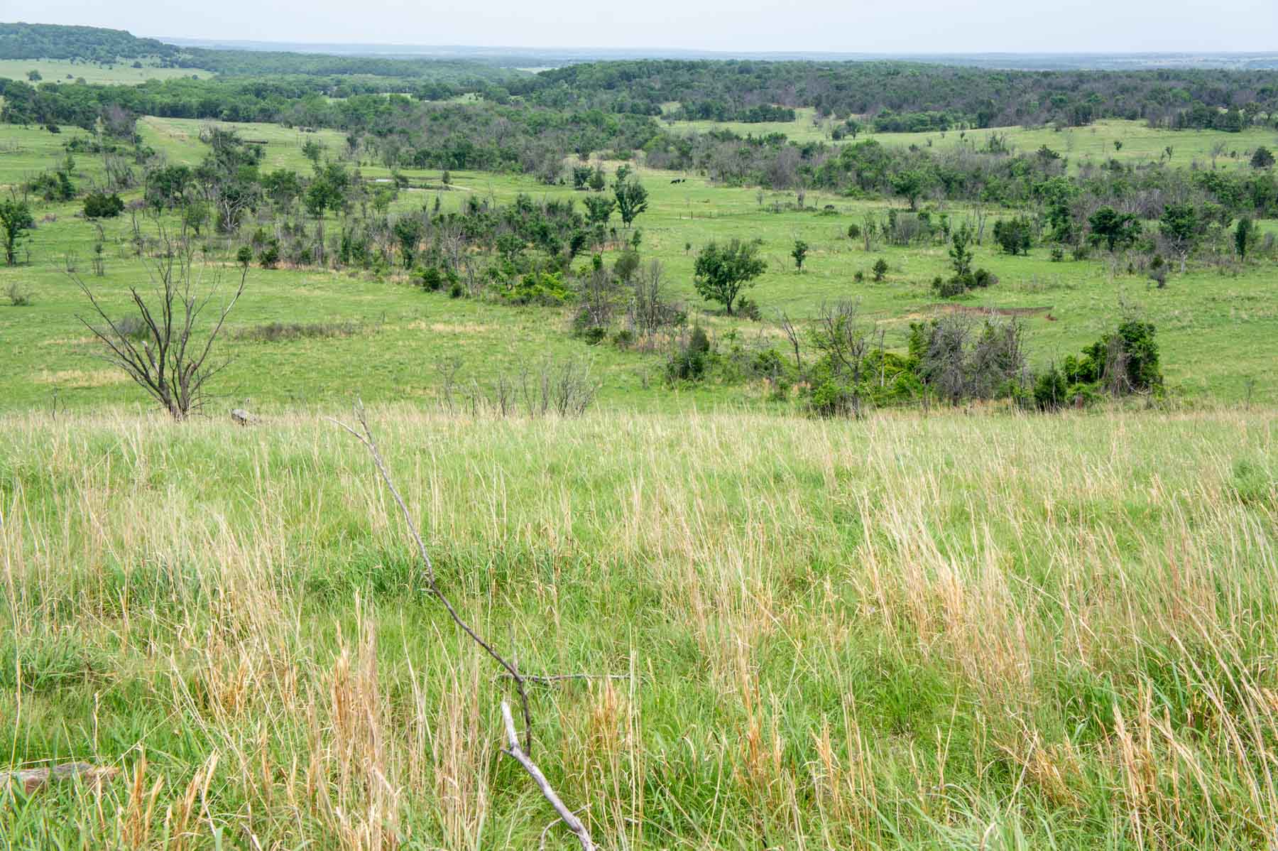 Five Star Legacy Ranch property picture 32 of 123