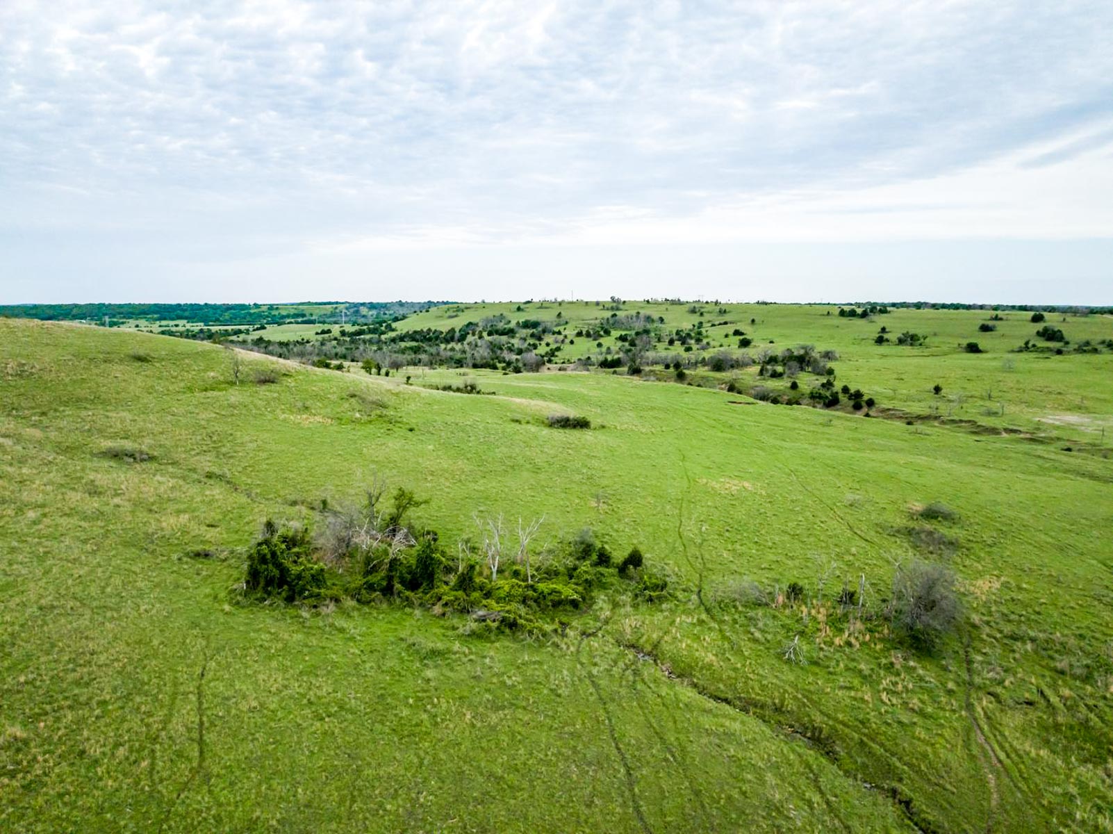 Five Star Legacy Ranch property picture 99 of 123