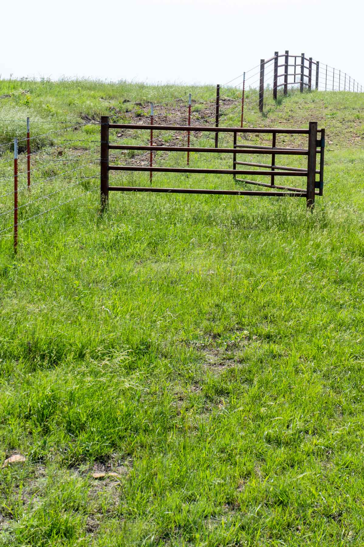 Five Star Legacy Ranch property picture 39 of 123