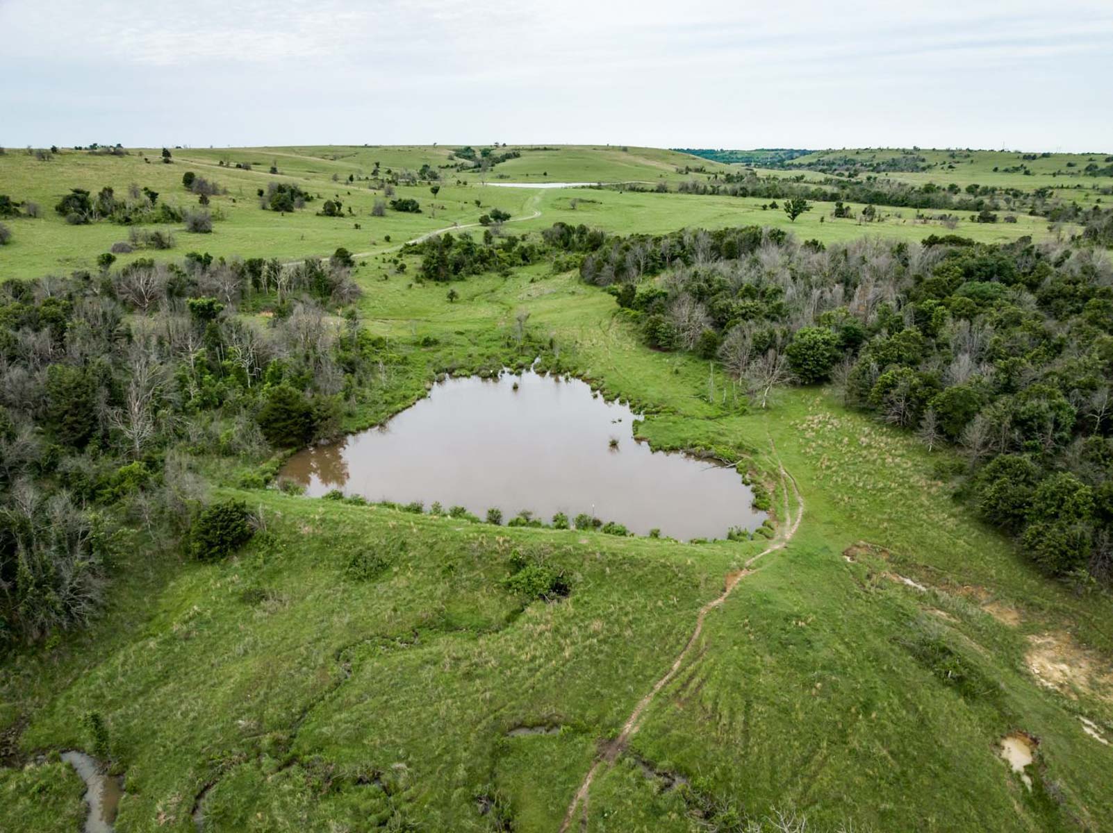 Five Star Legacy Ranch property picture 101 of 123