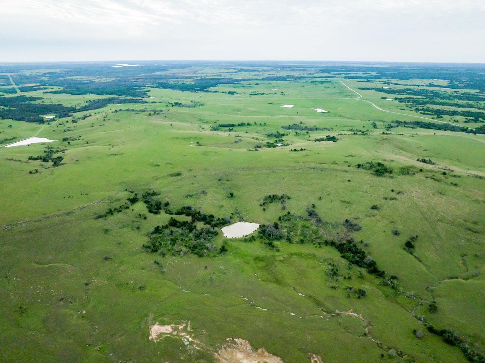 Five Star Legacy Ranch property picture 90 of 123
