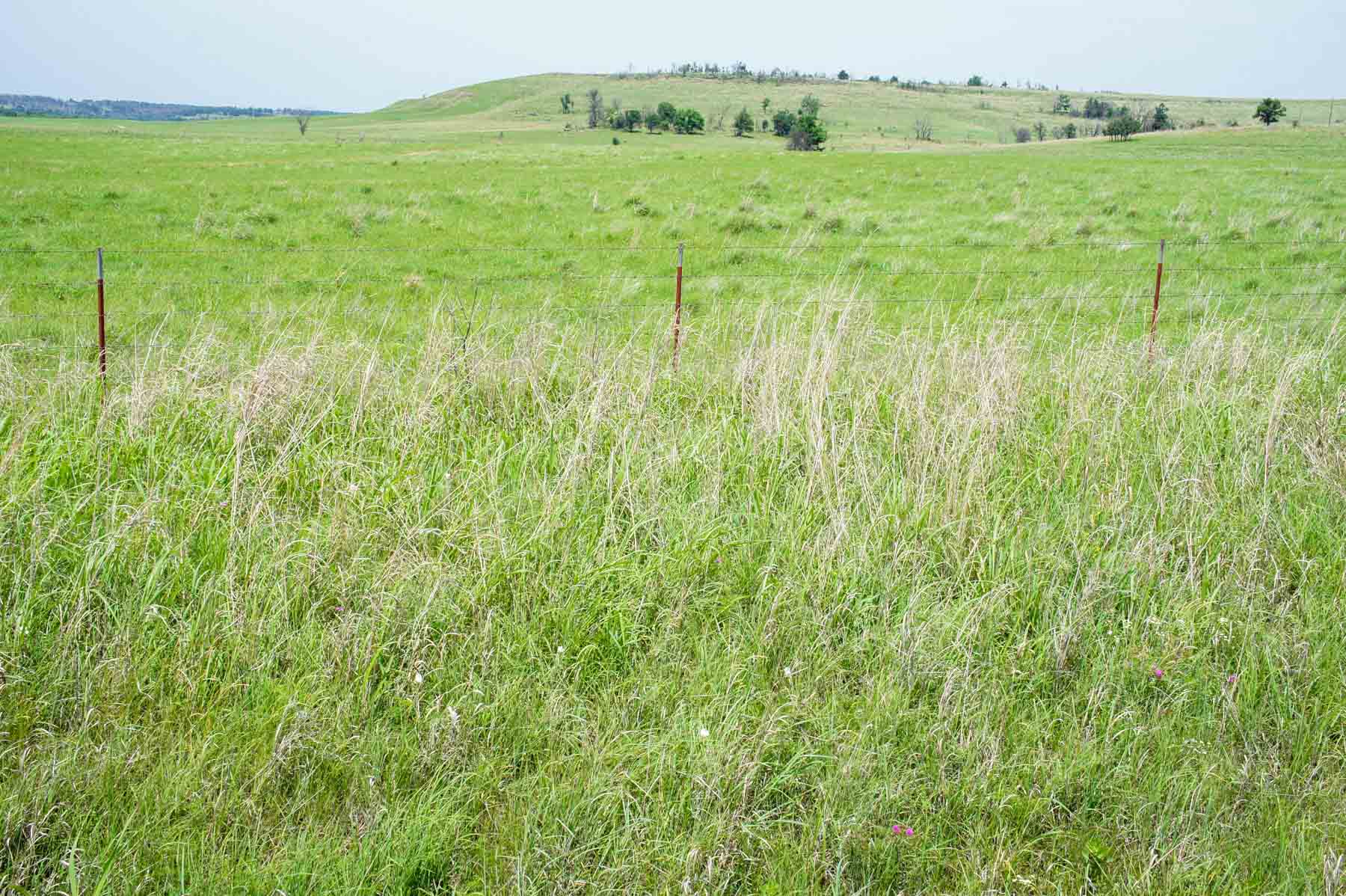 Five Star Legacy Ranch property picture 26 of 123